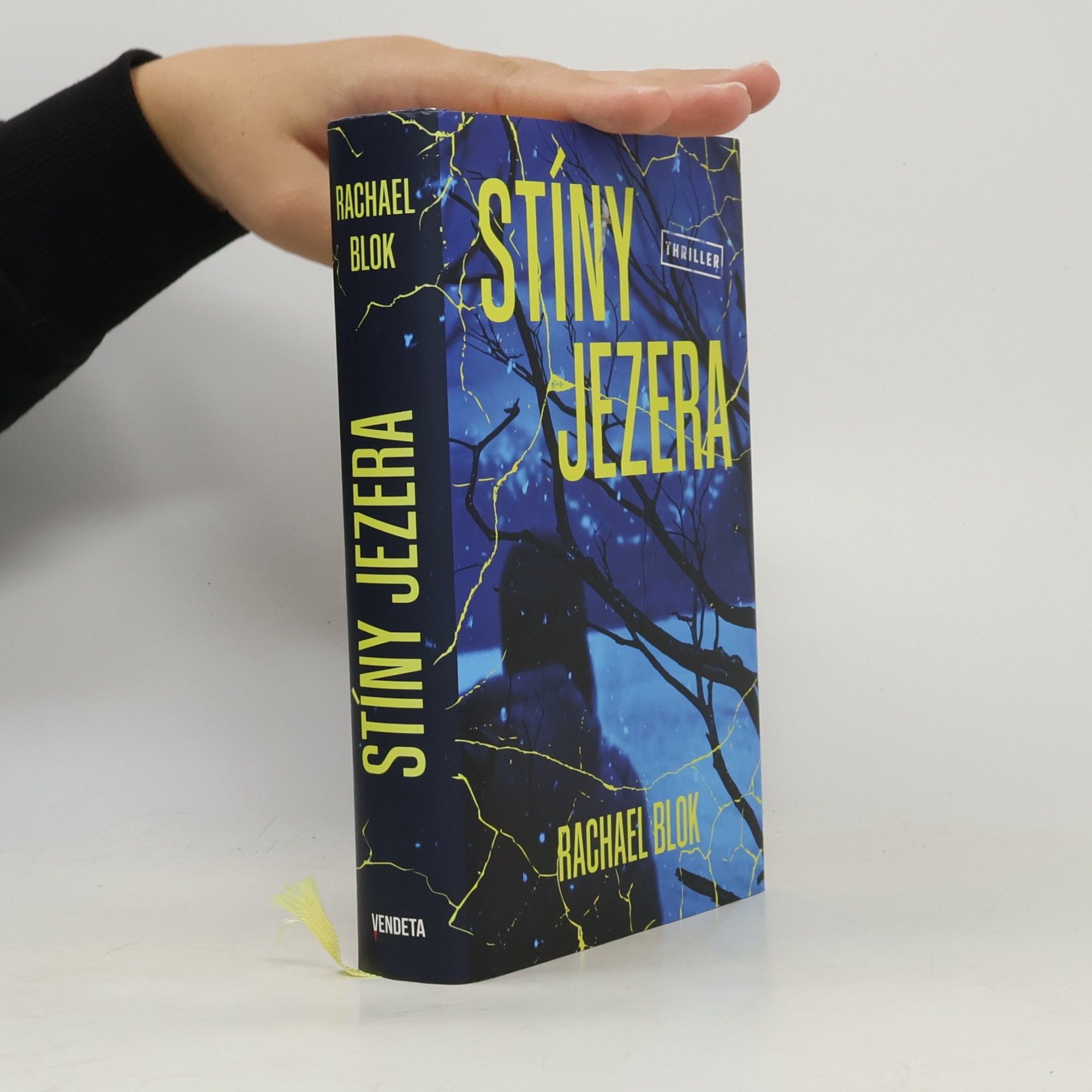 Stíny jezera