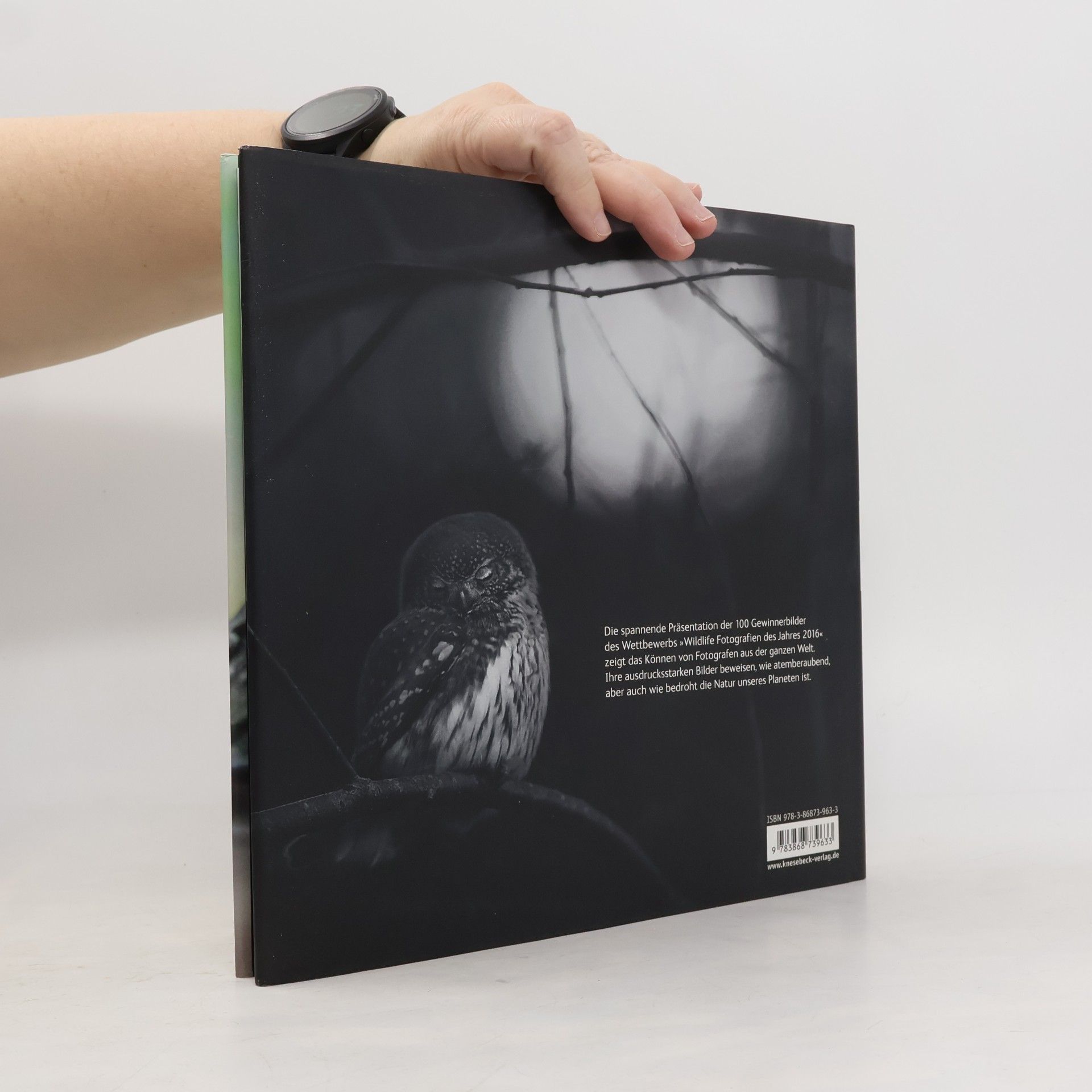 Autorenkollektiv Wildlife Fotografien des Jahres. Portfolio 26