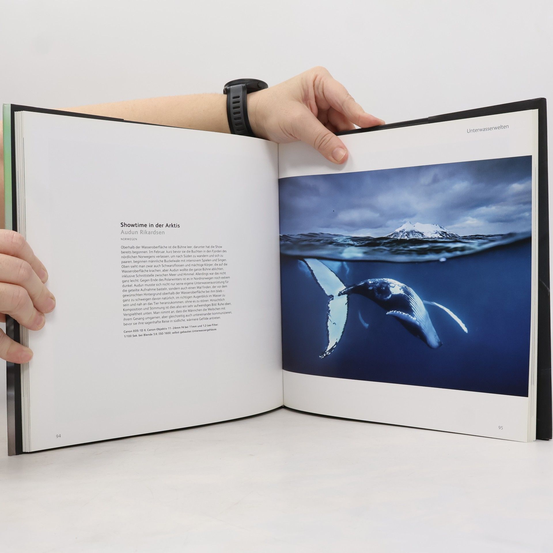 Autorenkollektiv Wildlife Fotografien des Jahres. Portfolio 26