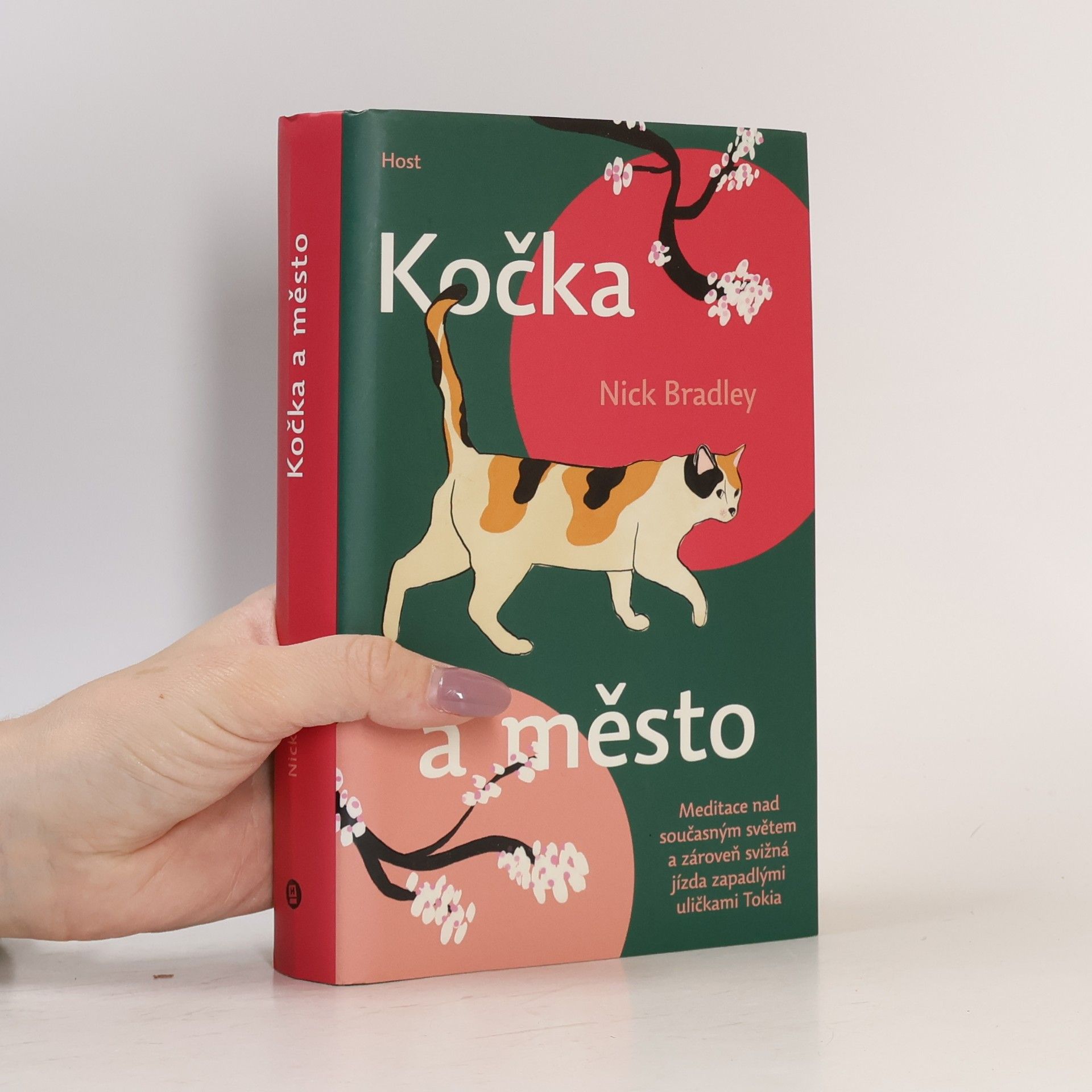 Nick Bradley Kočka a město
