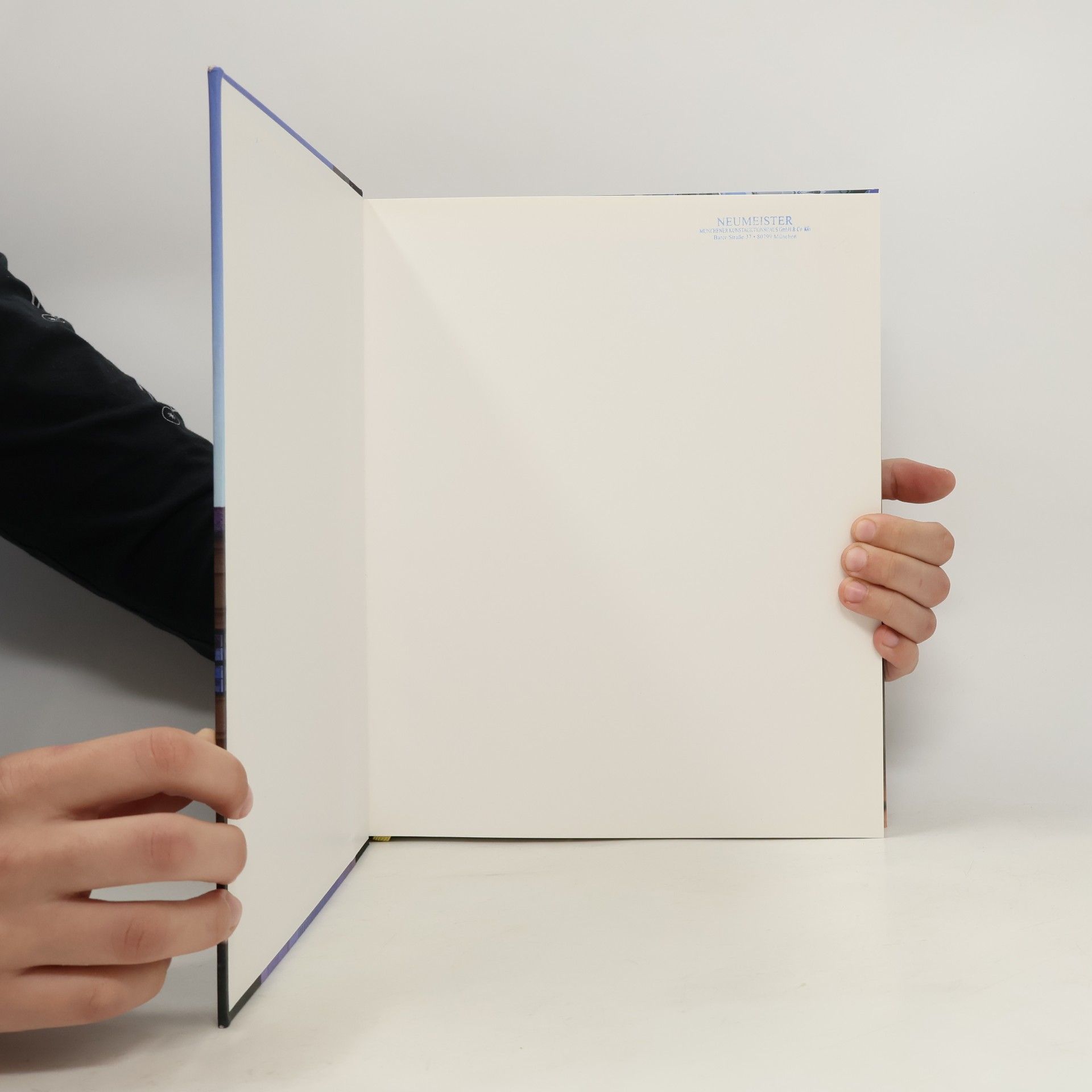 Städtische Galerie im Lenbachhaus München Das Lenbachhaus Buch