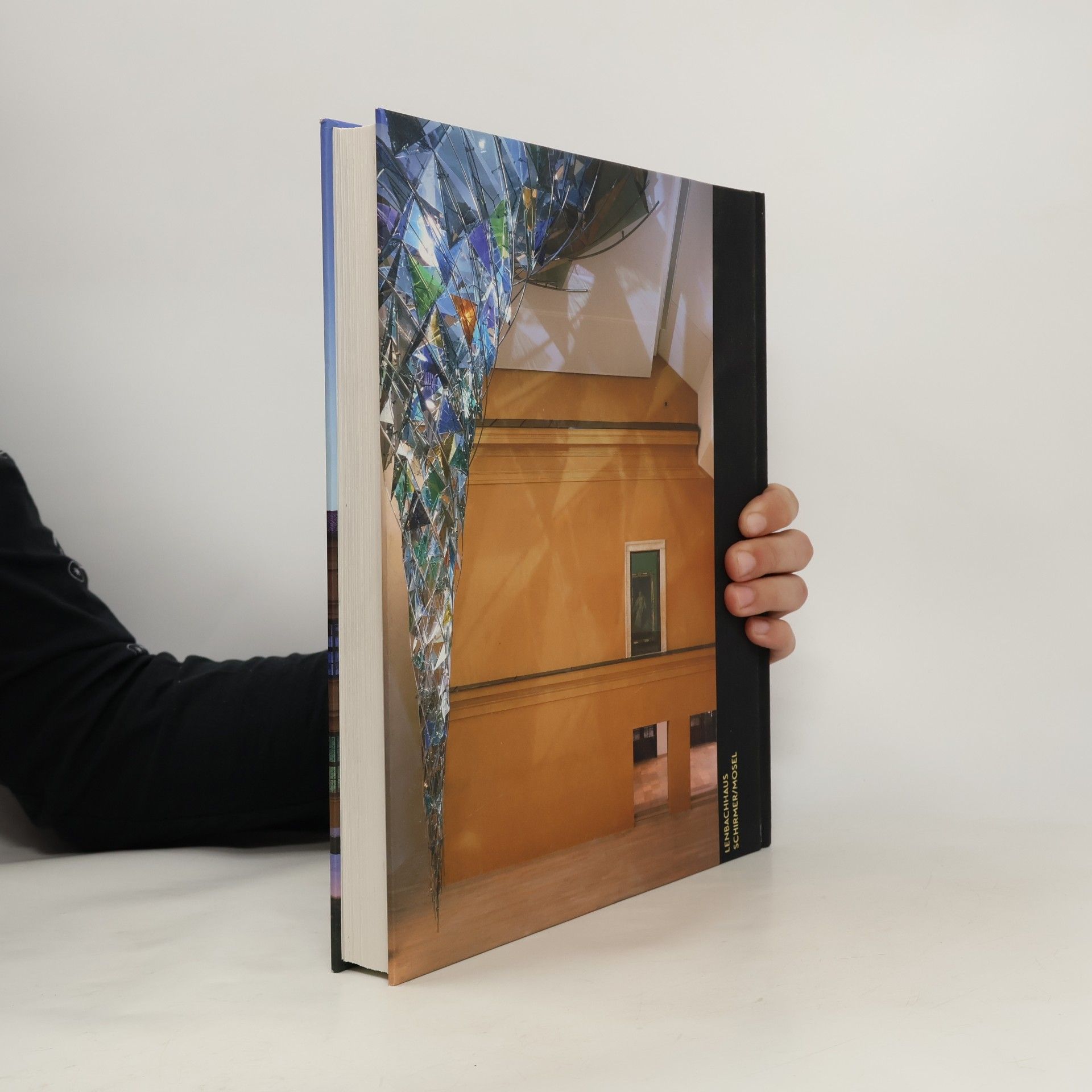 Städtische Galerie im Lenbachhaus München Das Lenbachhaus Buch