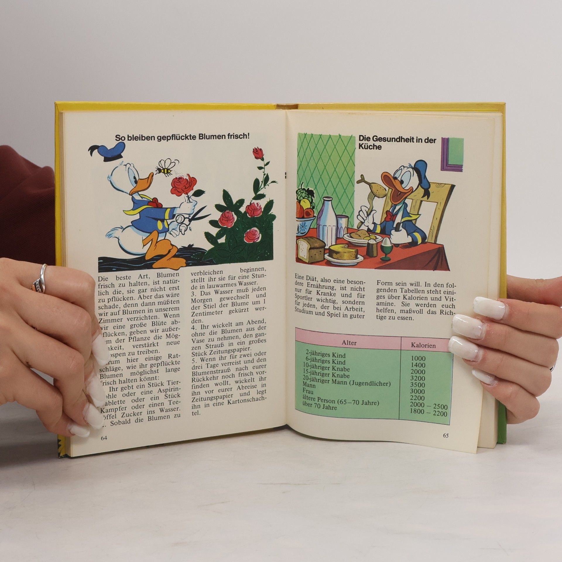 Walt Disney Donald Duck