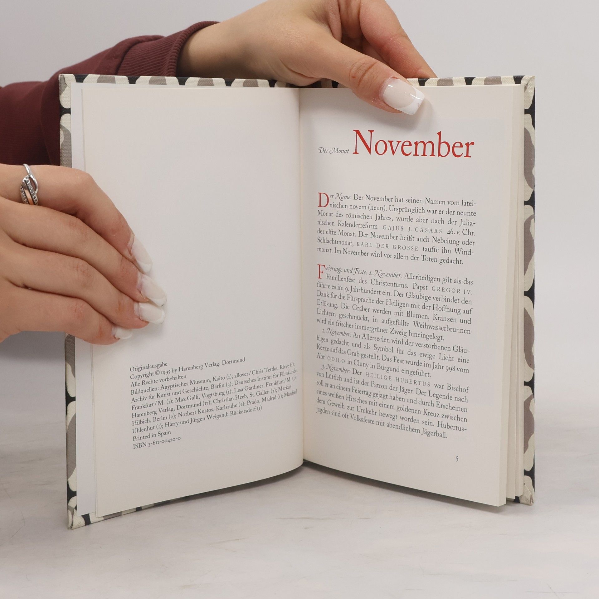 AA.VV. Das Buch vom Monat November