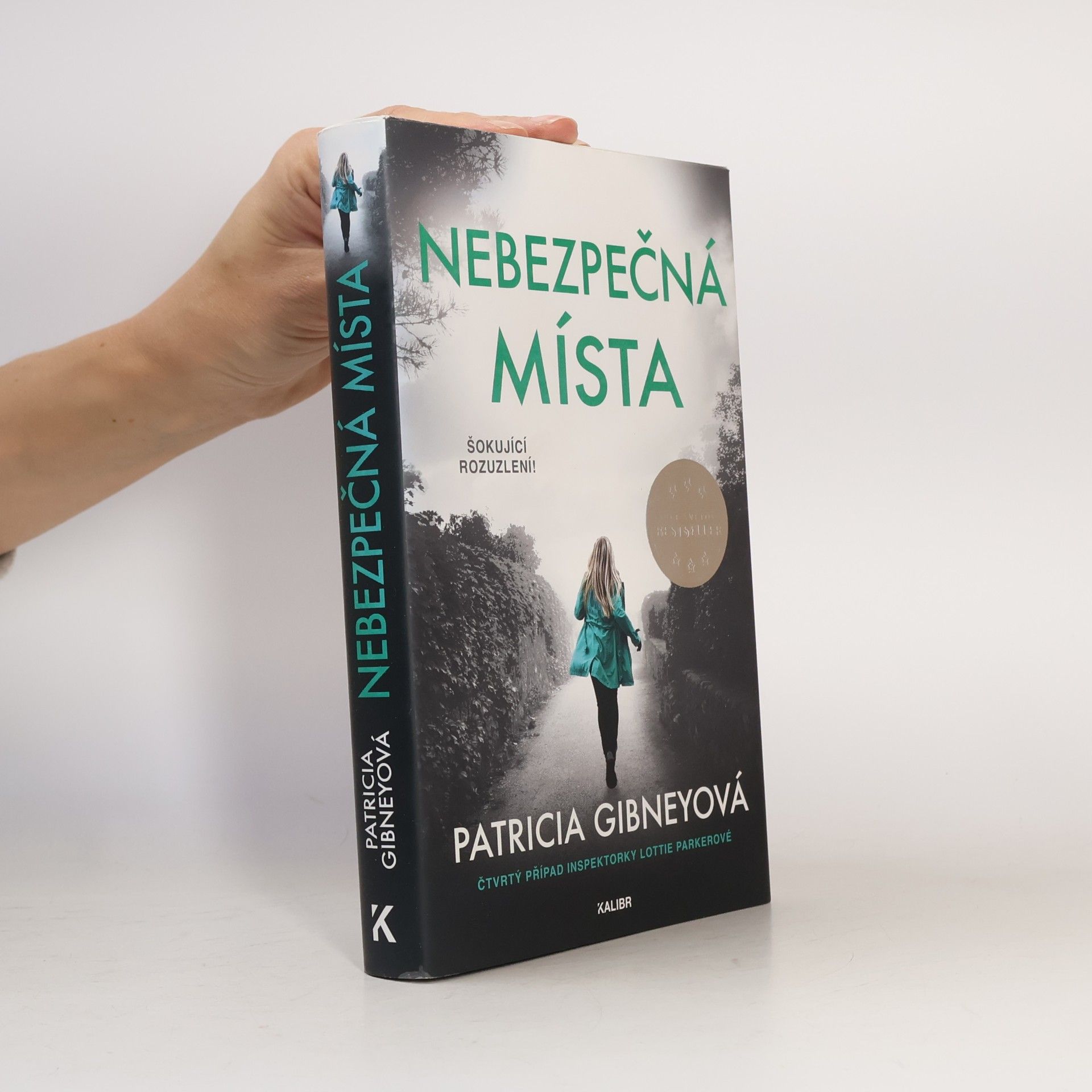 Patricia Gibney Nebezpečná místa