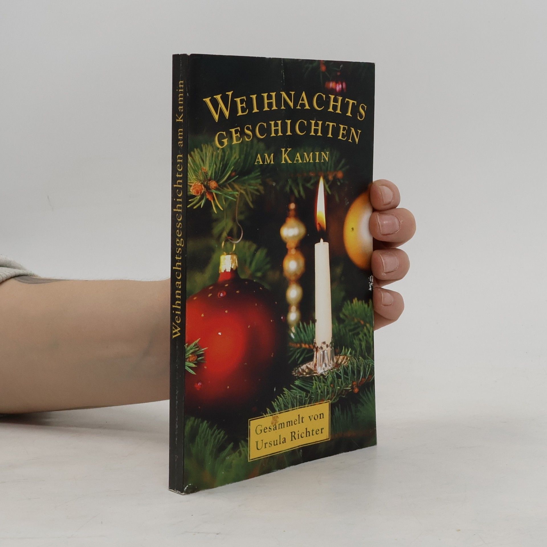Ursula Richter Weihnachtsgeschichten am Kamin
