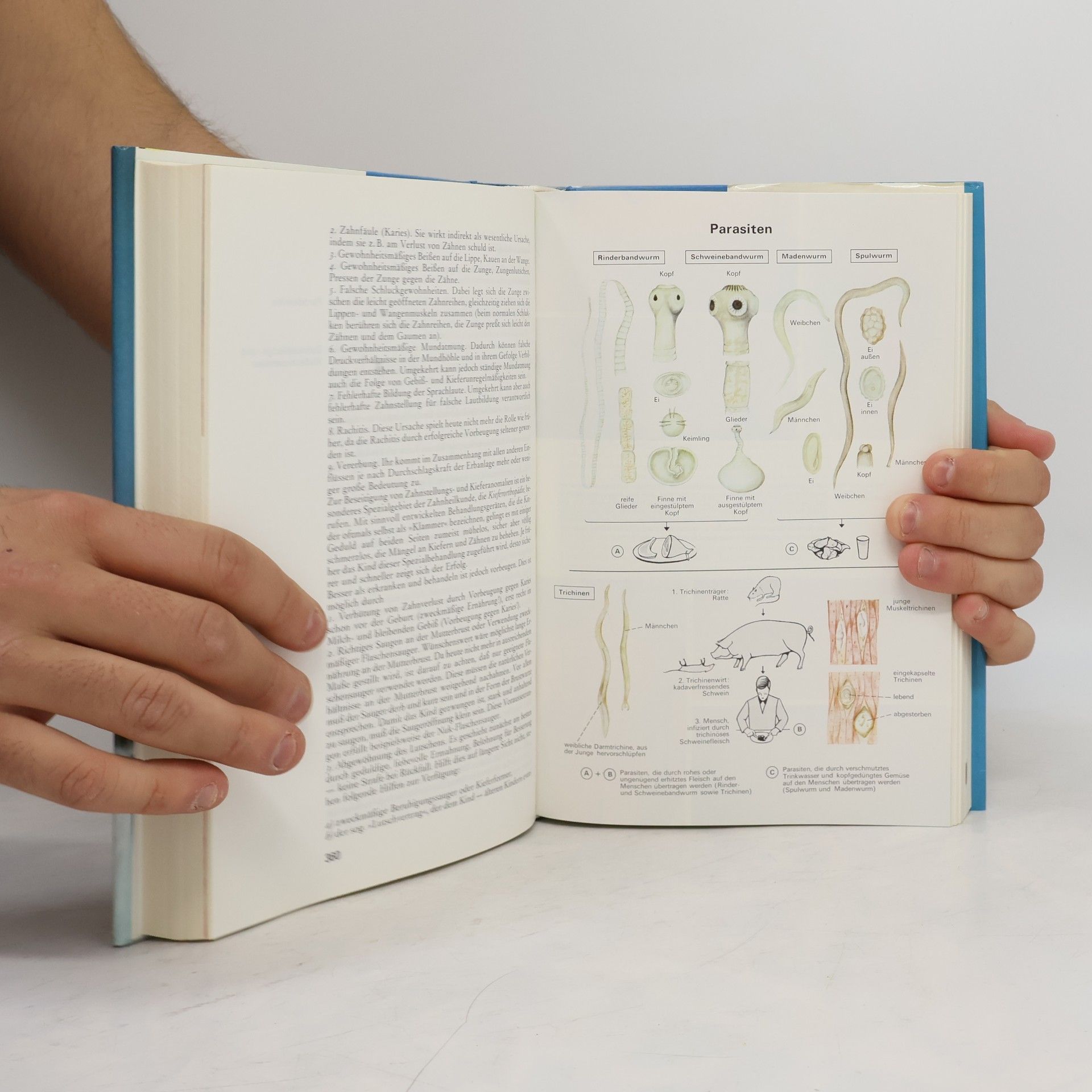 Autorenkollektiv Das neue große Gesundheitsbuch