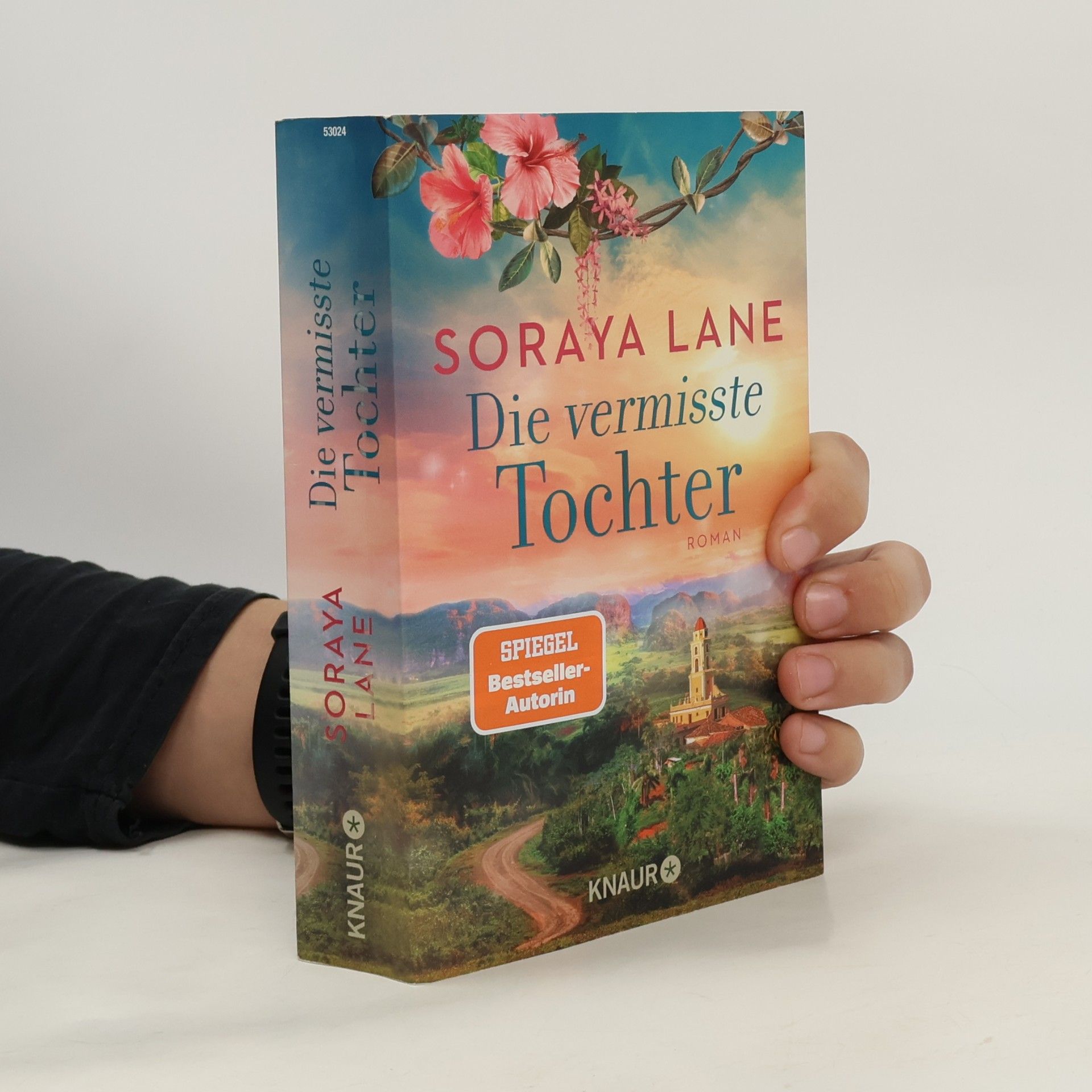 Die vermisste Tochter