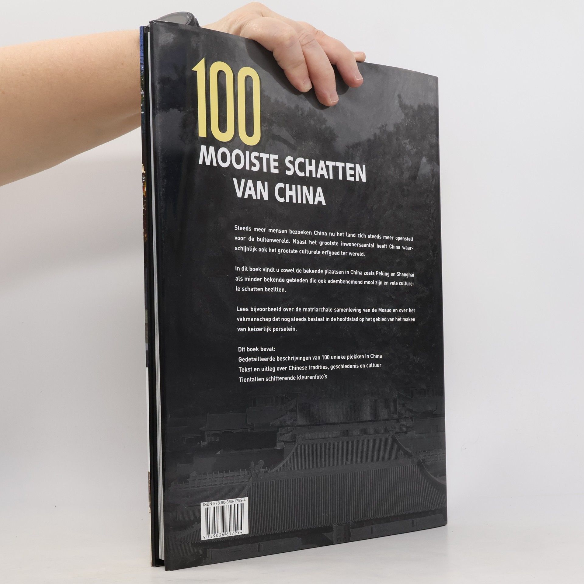 Wang Zhen 100 mooiste schatten van China