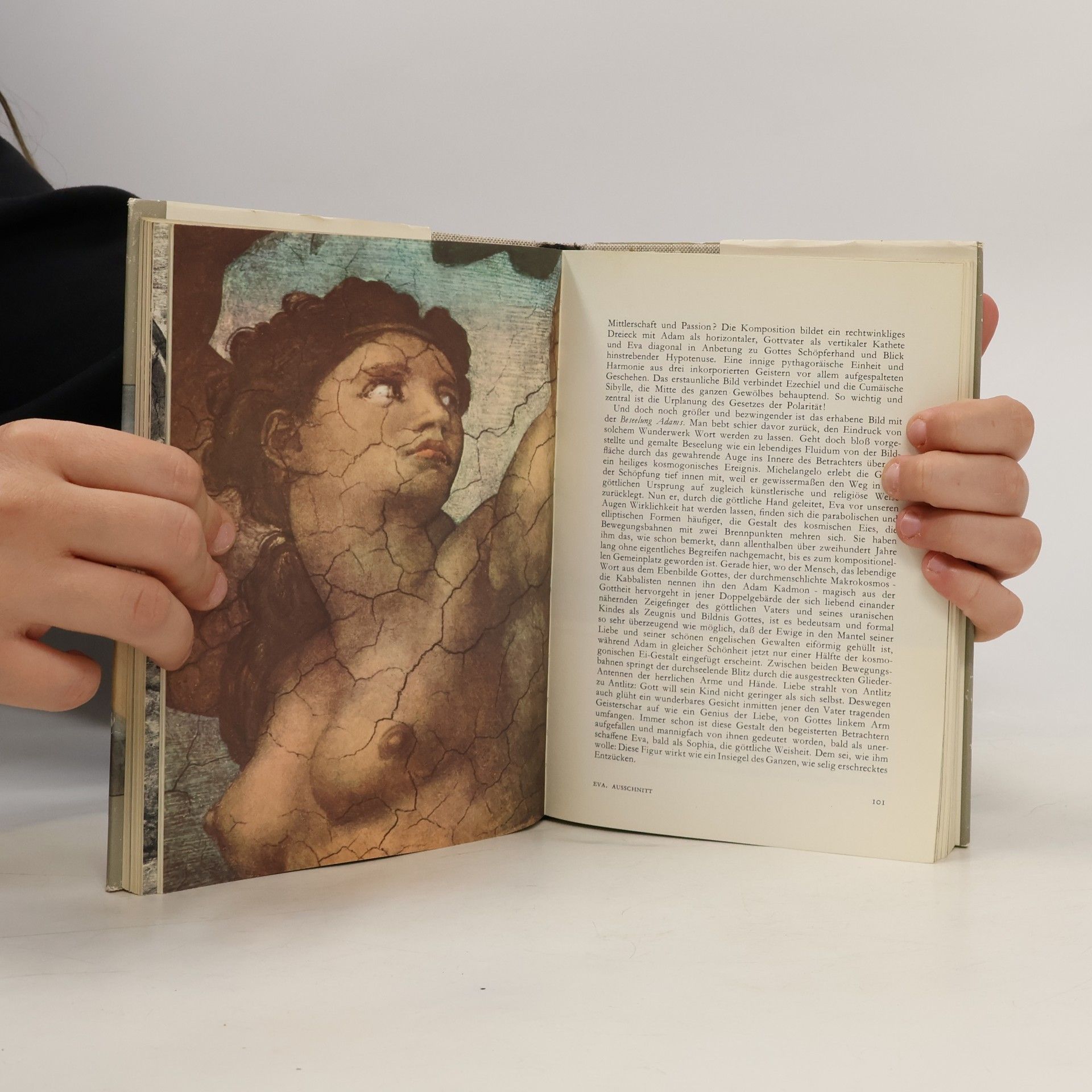 Rolf Schott Michelangelo. Der Mensch und sein Werk