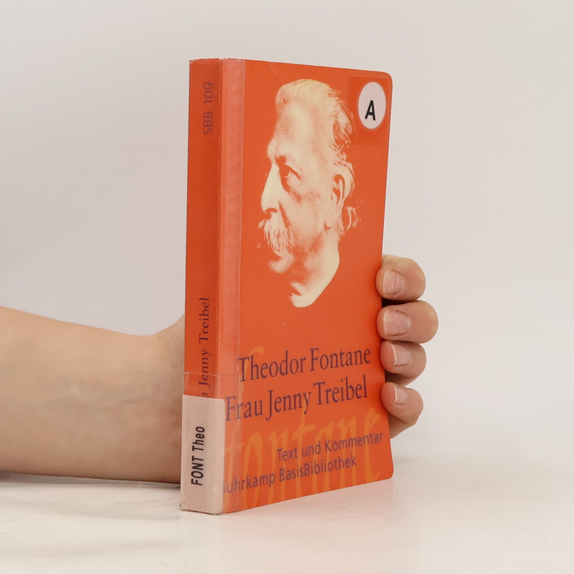 Theodor Fontane Frau Jenny Treibel