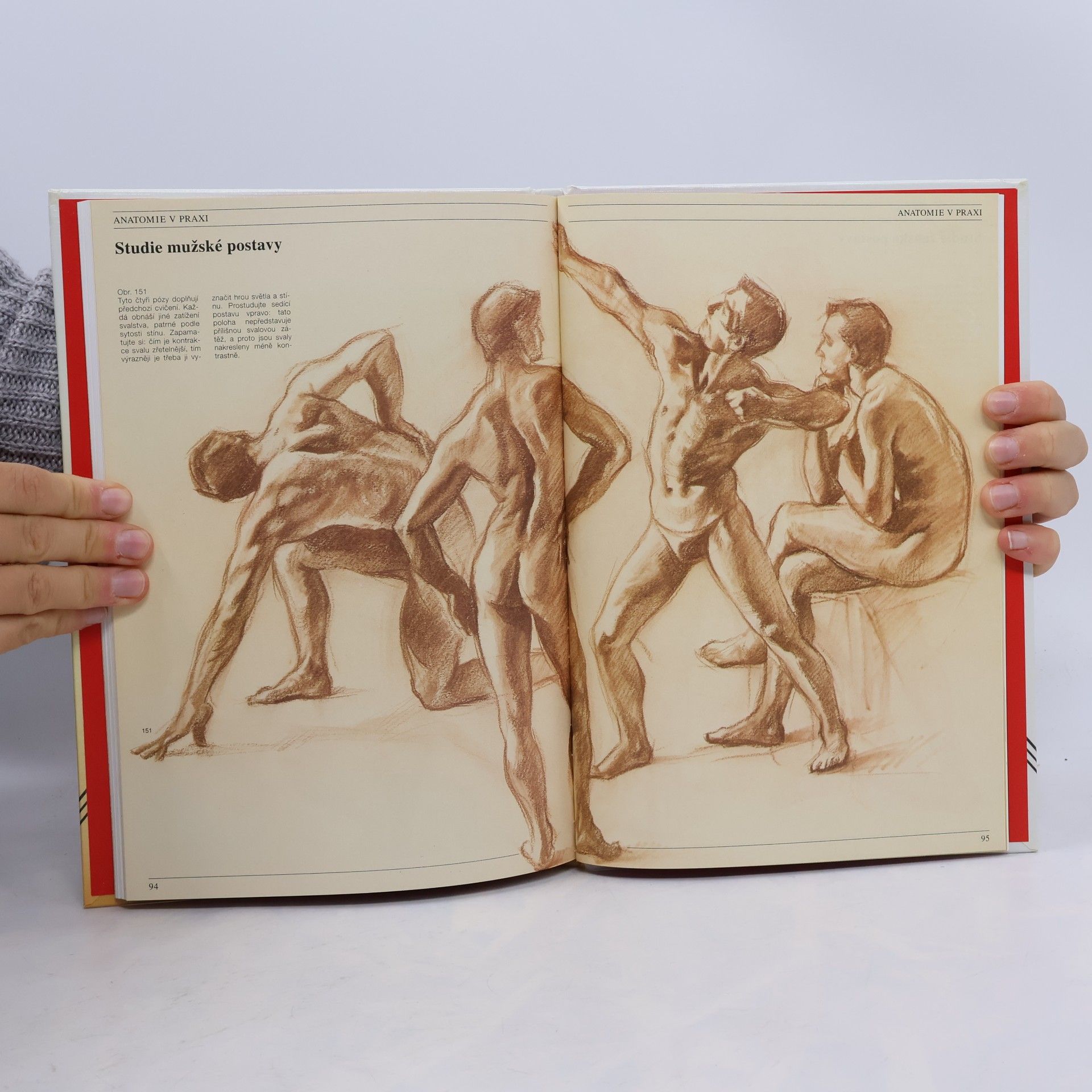 José María Parramón Anatomie člověka