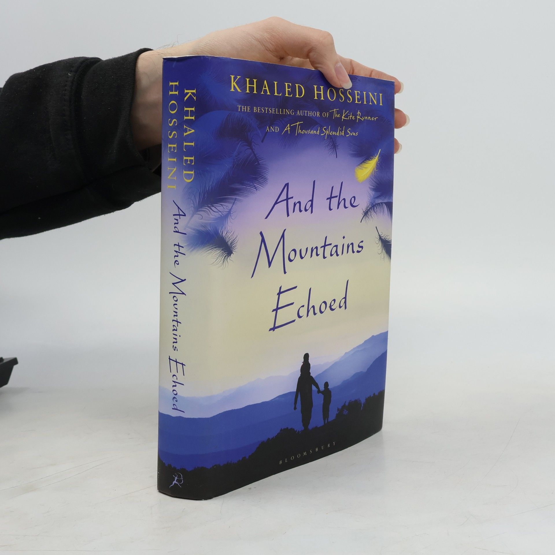 And the mountains echoed