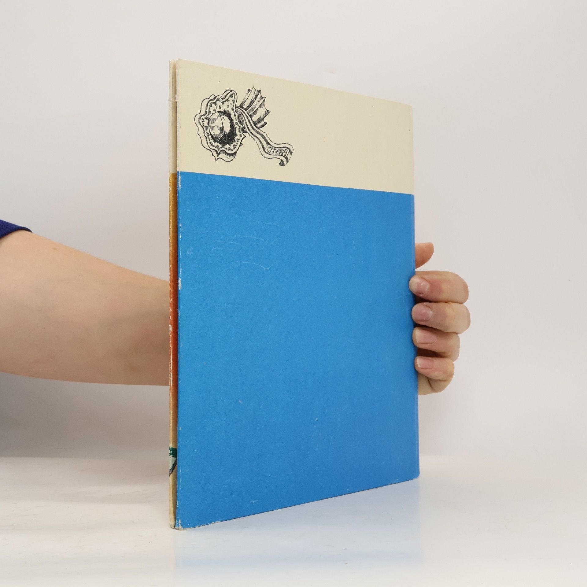 Kolektiv autorů Das Bunte Bastelbuch