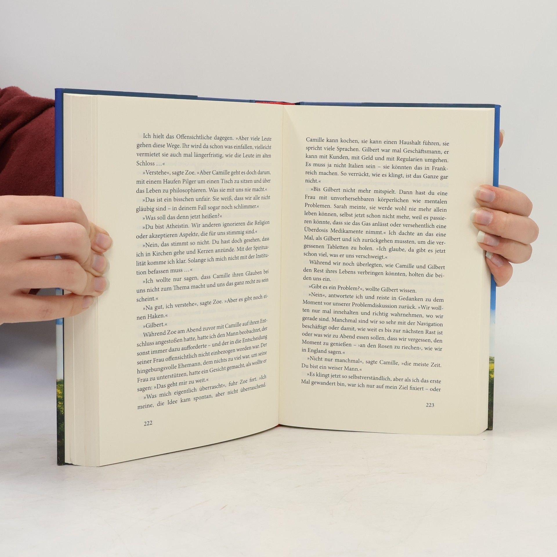 Graeme Simsion Schritt für Schritt zum Glück