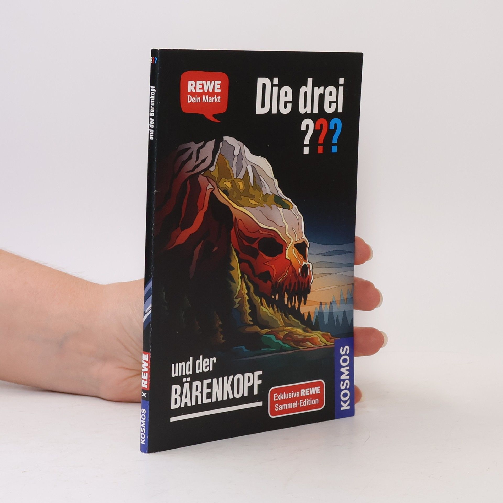 Andreas Ruch Die drei ??? und der Bärenkopf