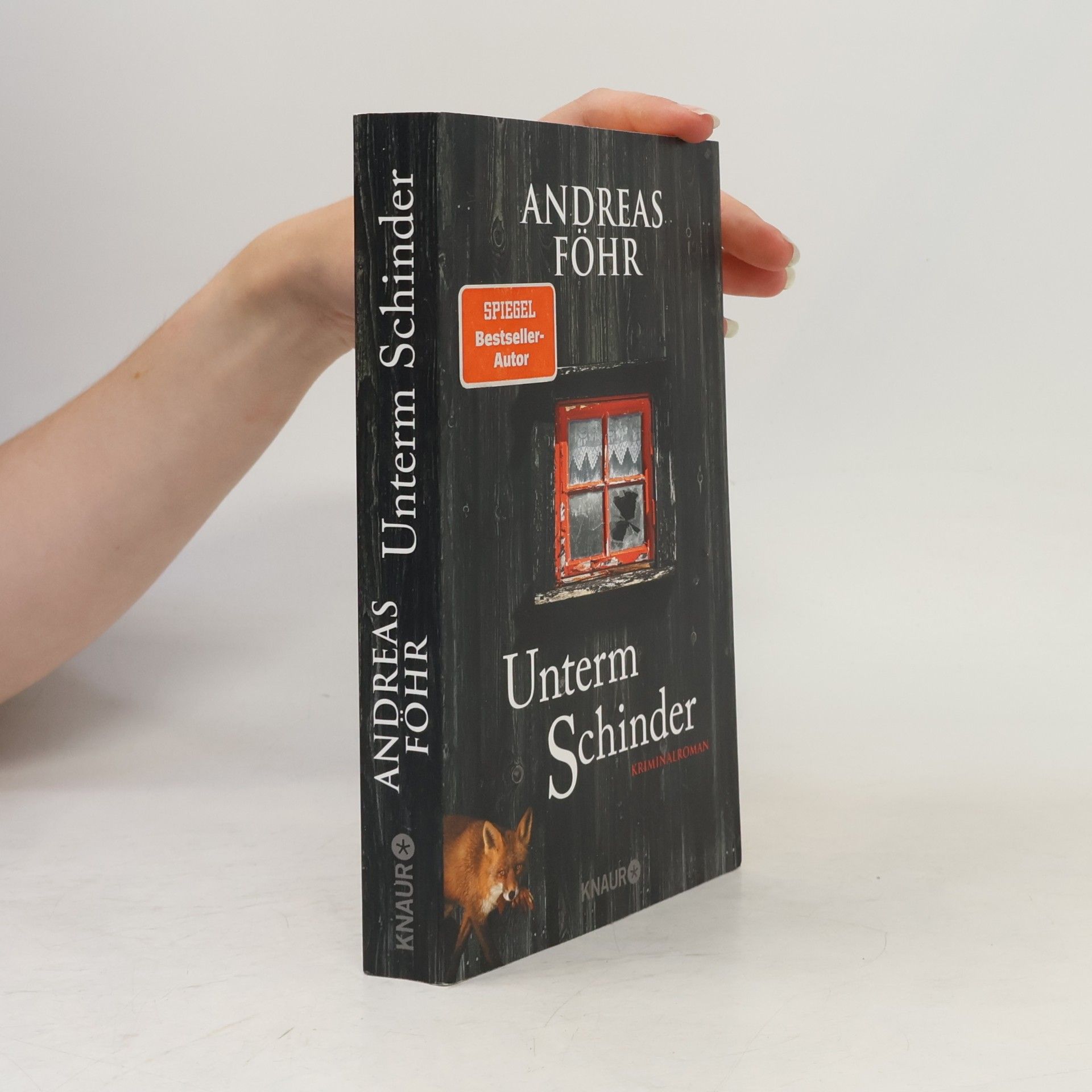 Andreas Föhr Unterm Schinder