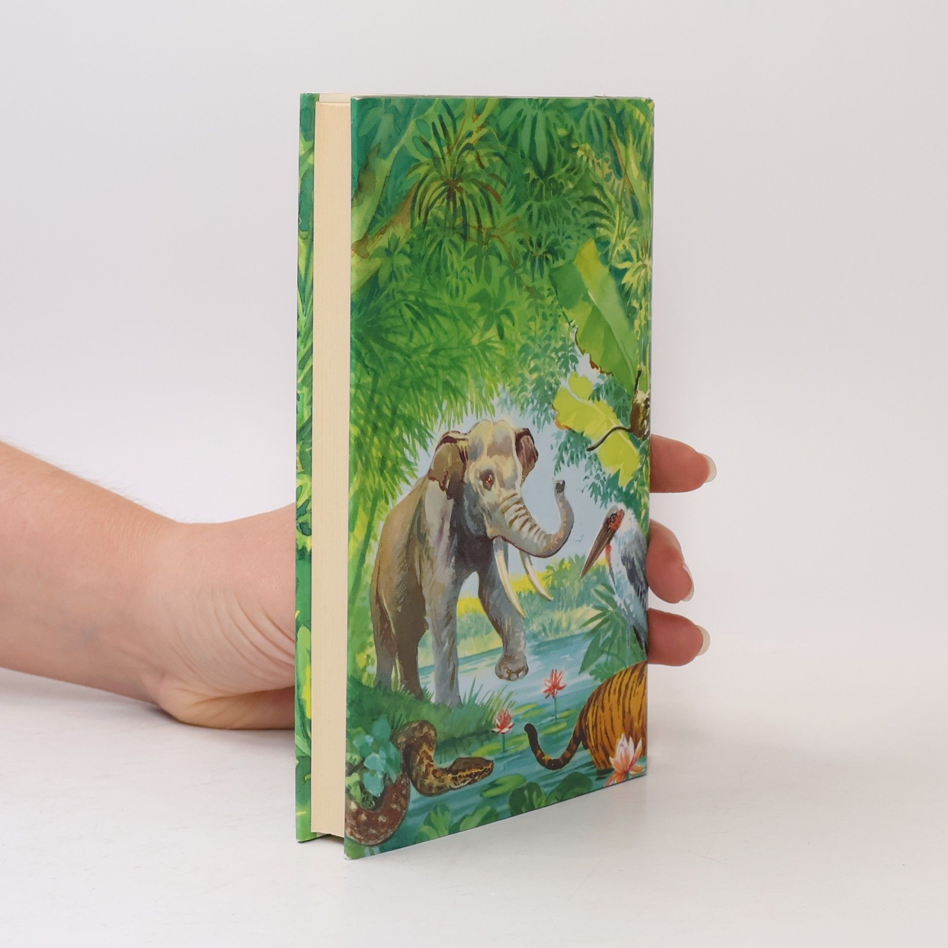 Rudyard Kipling Geschichten aus Simla