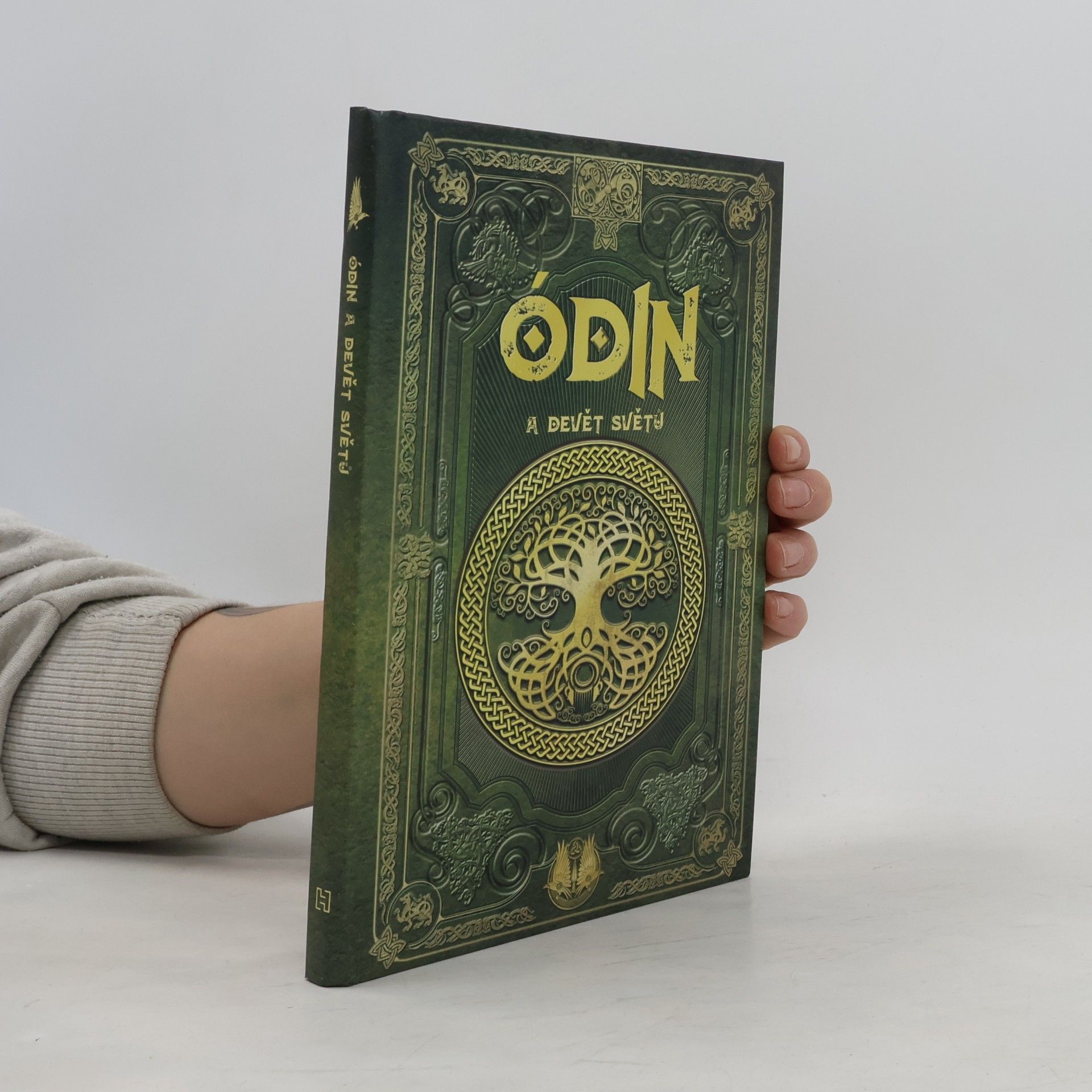 Laia San José Beltrán Ódin a devět světů