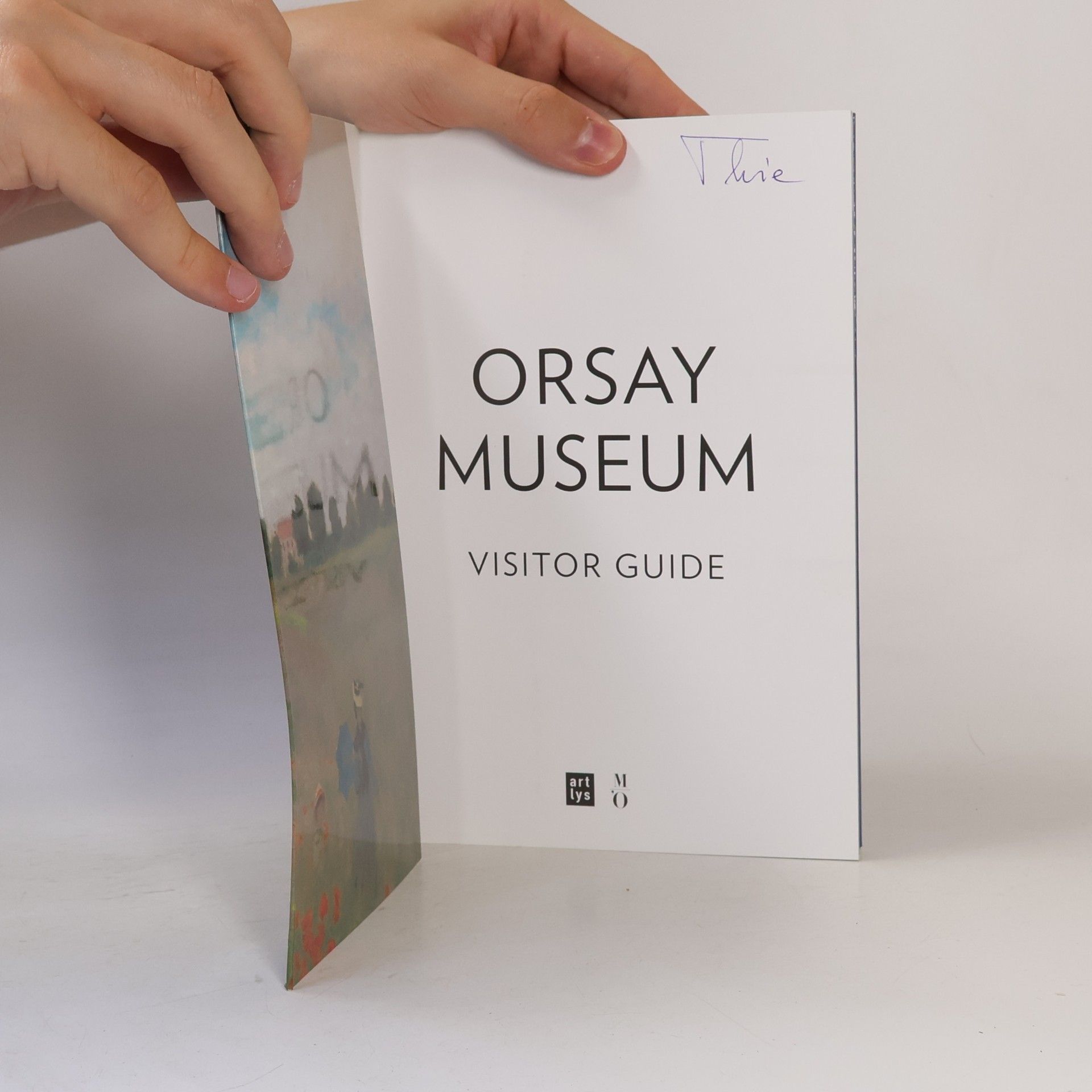 Guide Visite Orsay Gb