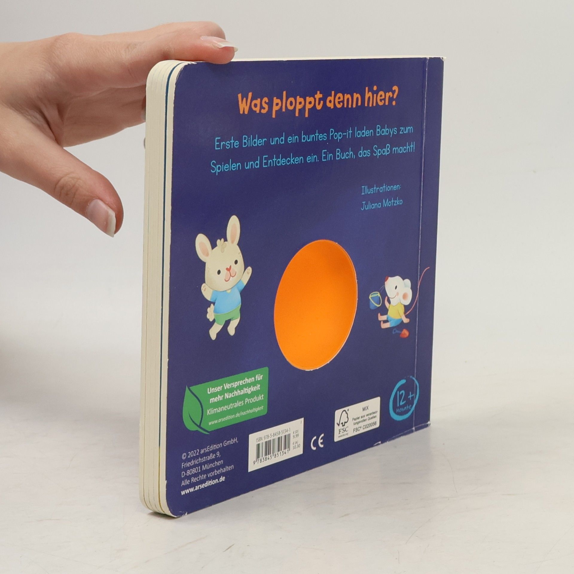 Juliana Motzko Mein erstes Pop it Buch. Schnelle Eule