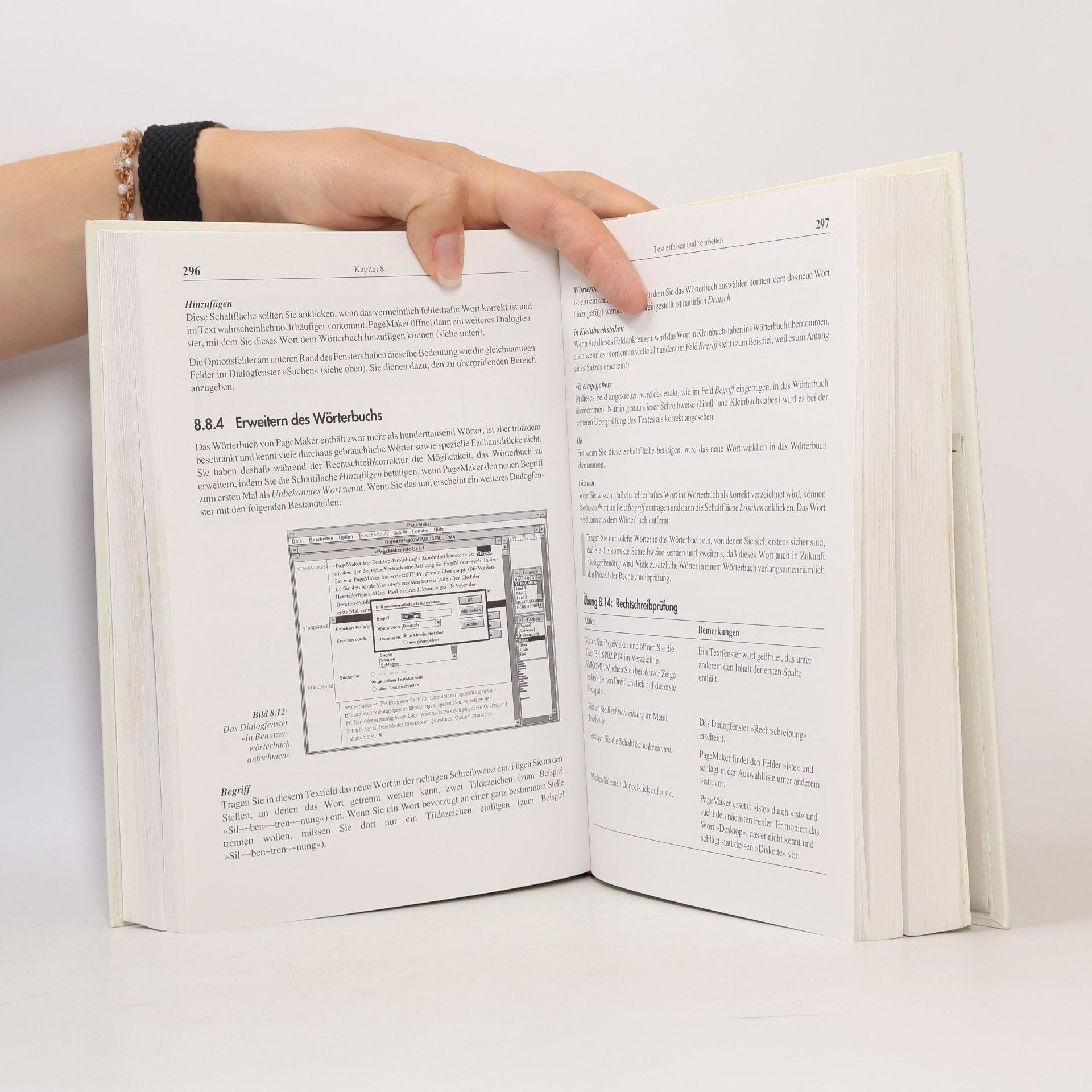 Markus Breuer PageMaker 4.0 - Das Kompendium