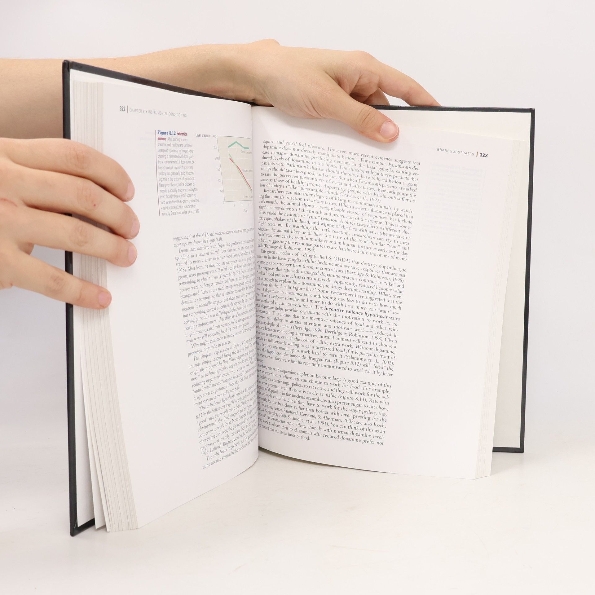 Mark A. Gluck Learning and Memory