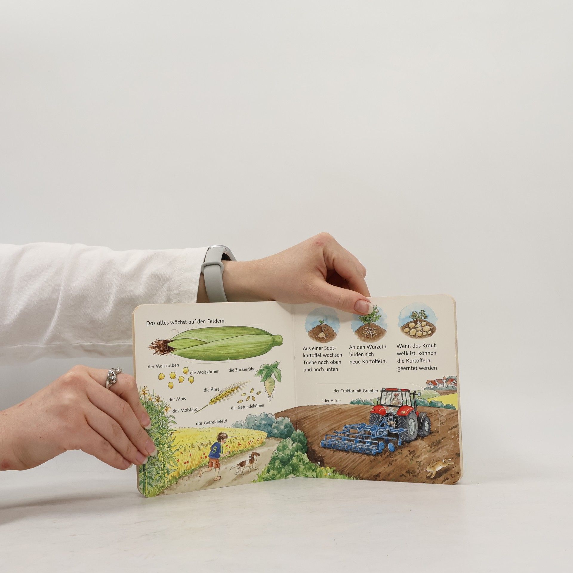 Kolektiv autorů Mein erstes Wörterbuch. Bauernhof