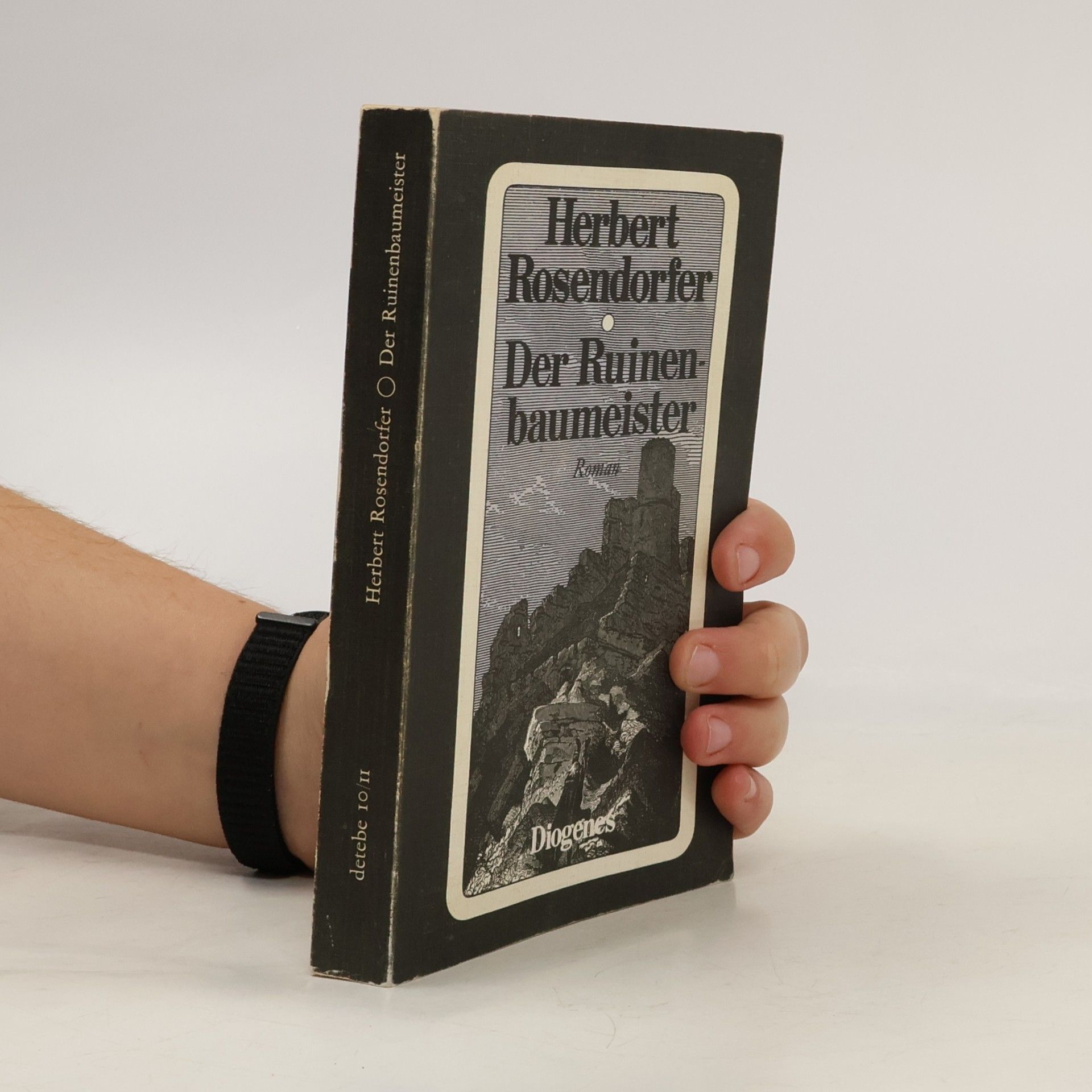 Herbert Rosendorfer Der Ruinenbaumeister
