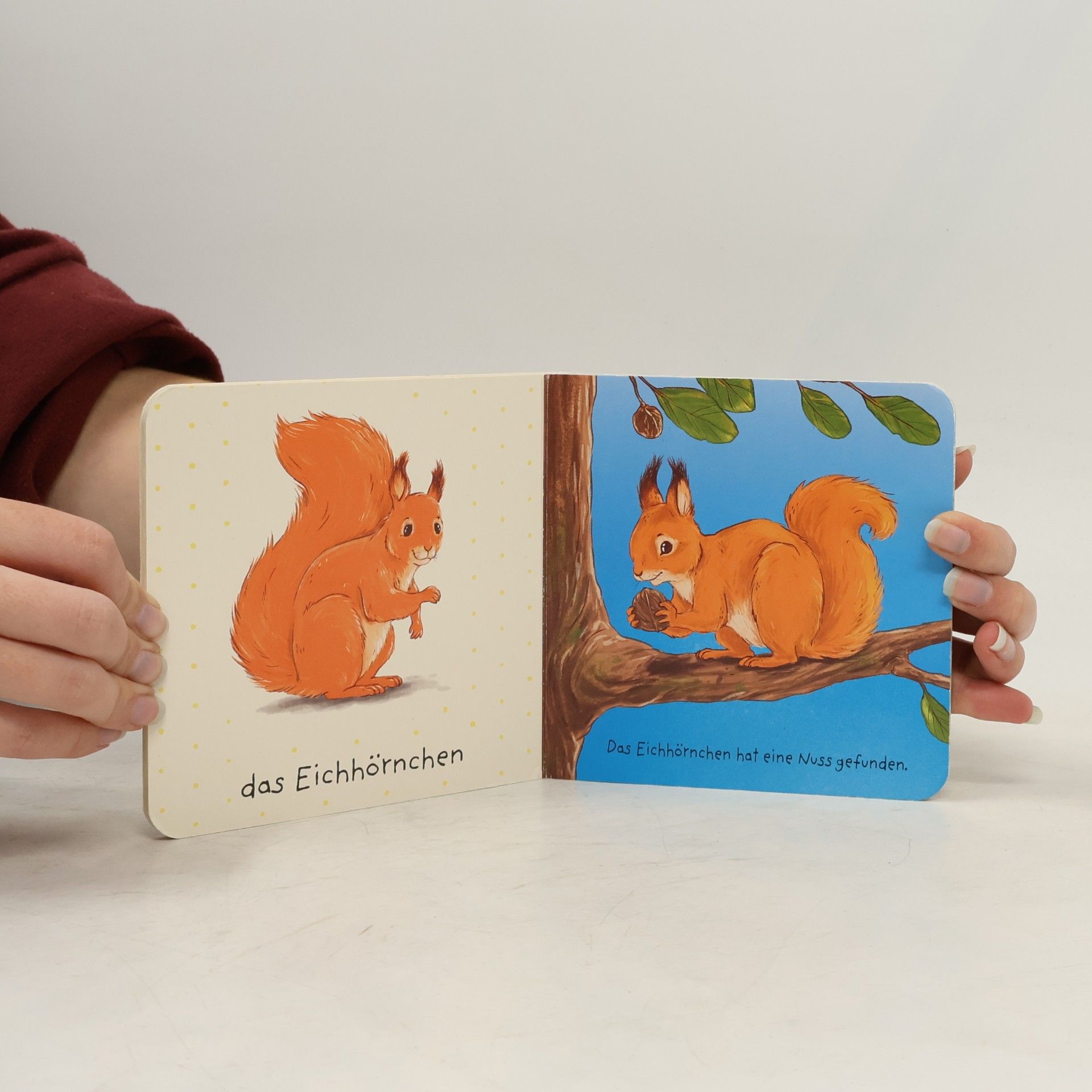 Lena Kleine Bornhorst Meine Tiere. Im Wald. Pappbilderbuch mit Lochstanze zum Kennenlernen von Waldtieren für Kinder ab 2 Jahren