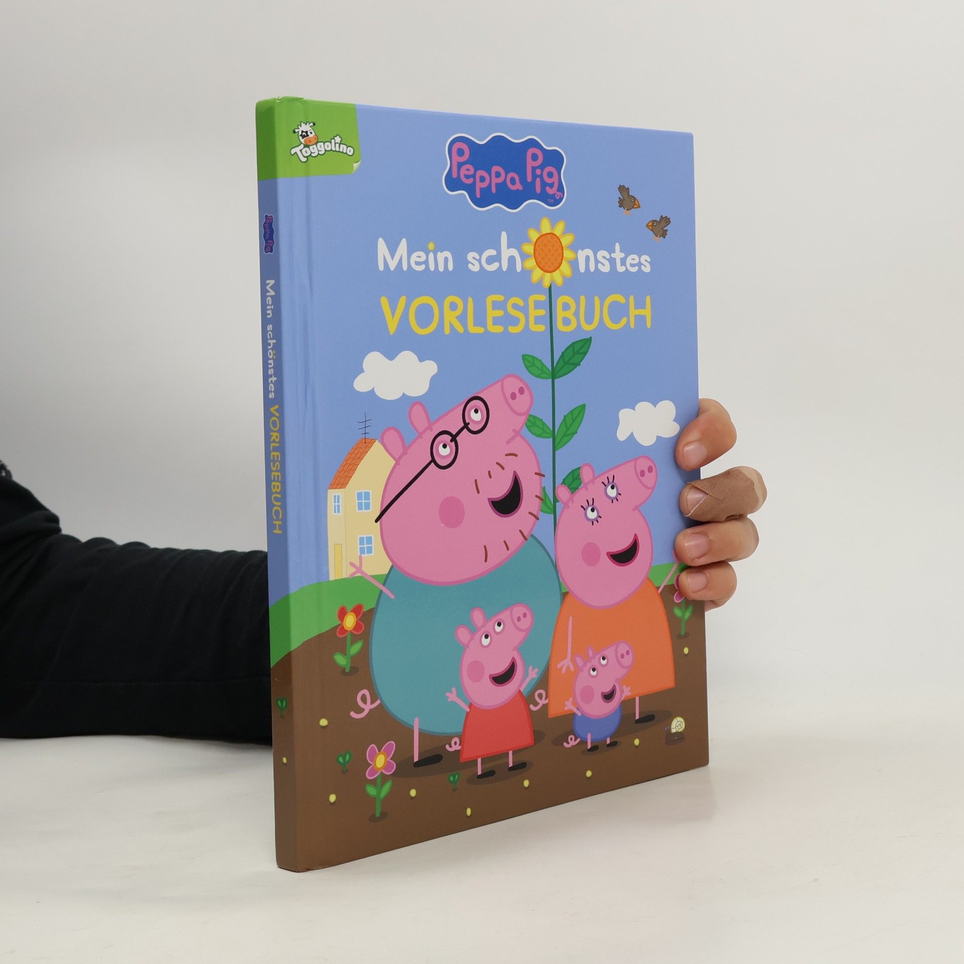 Autorenkollektiv Peppa Pig - mein schönstes Vorlesebuch