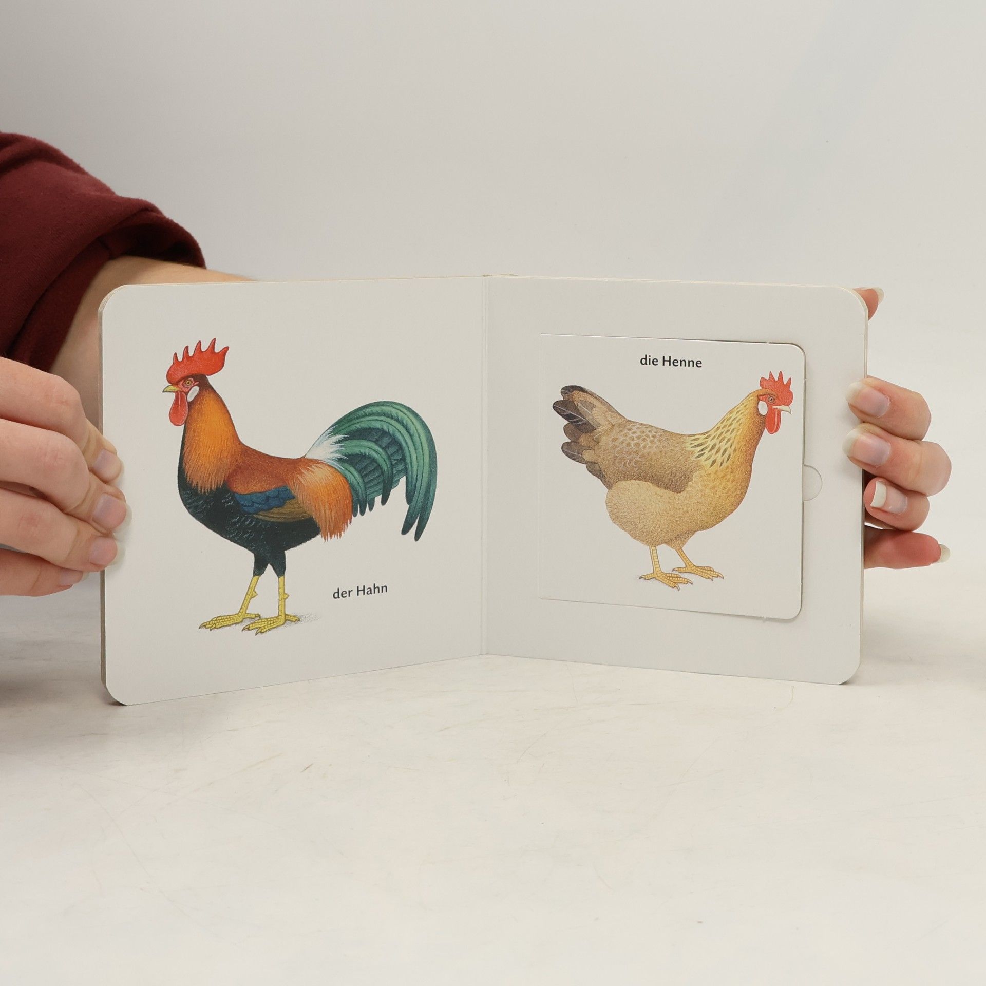 Thomas M. Müller Mein allererstes Klappenbuch. Erste Wörter
