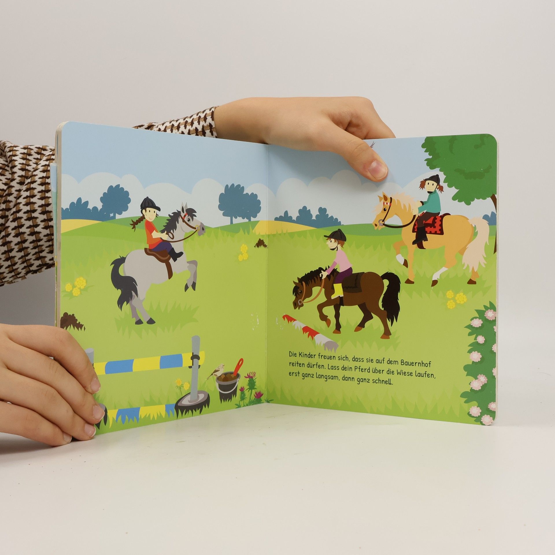 Werner Färber Bauernhof (Pappbilderbuch + 3 Holzfiguren)