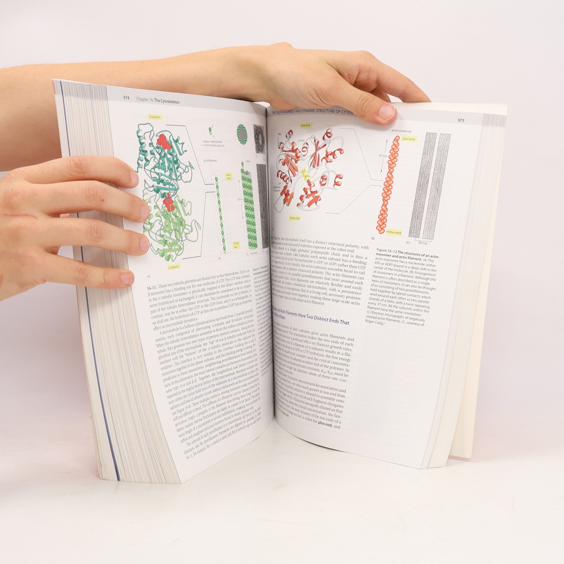 Bruce Alberts Molecular Biology of the Cell