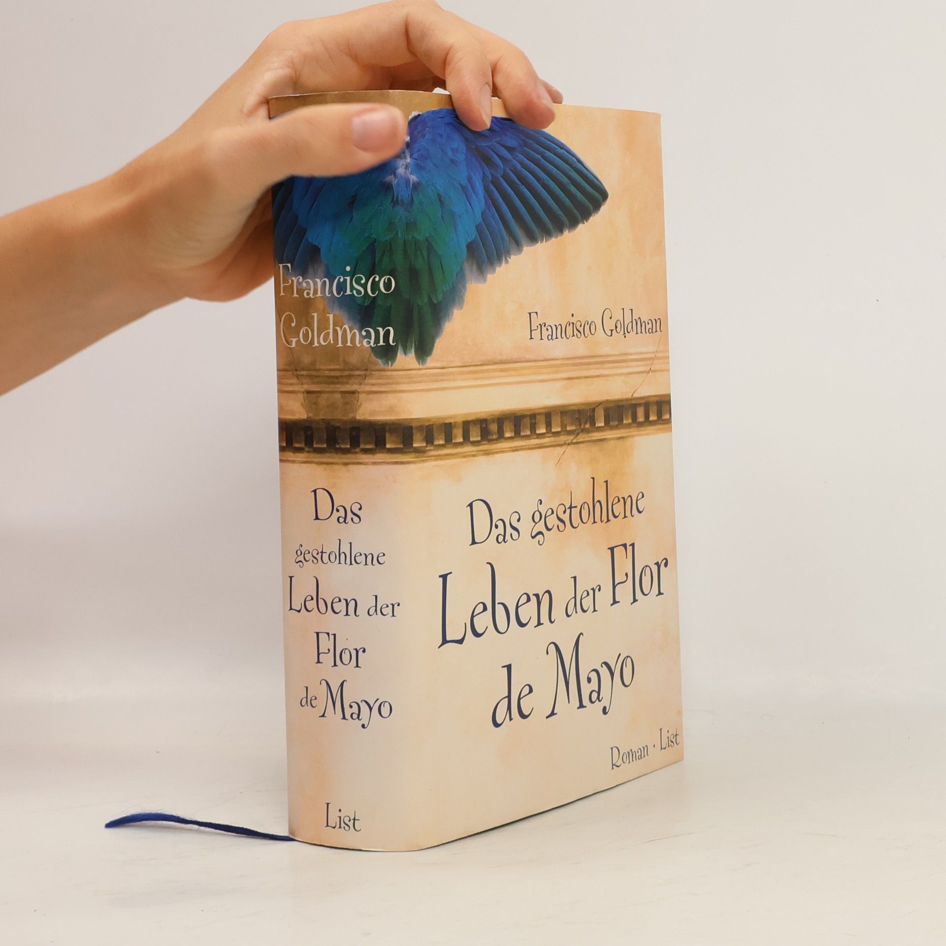 Francisco Goldman Das gestohlene Leben der Flor de Mayo