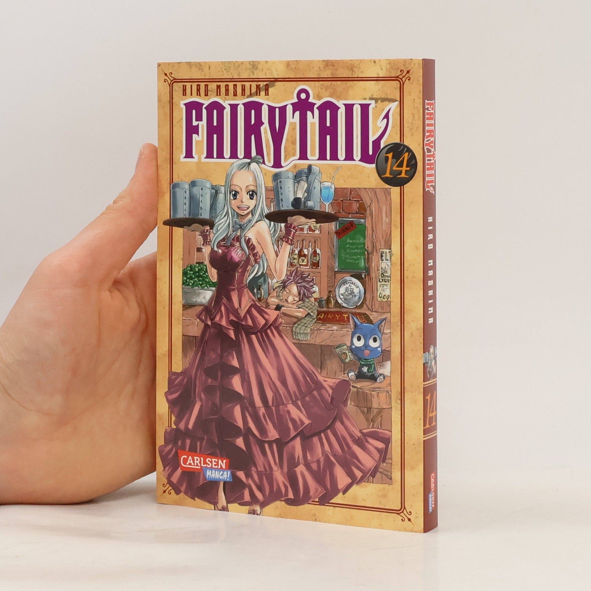 Hiro M. Fairy Tail 14