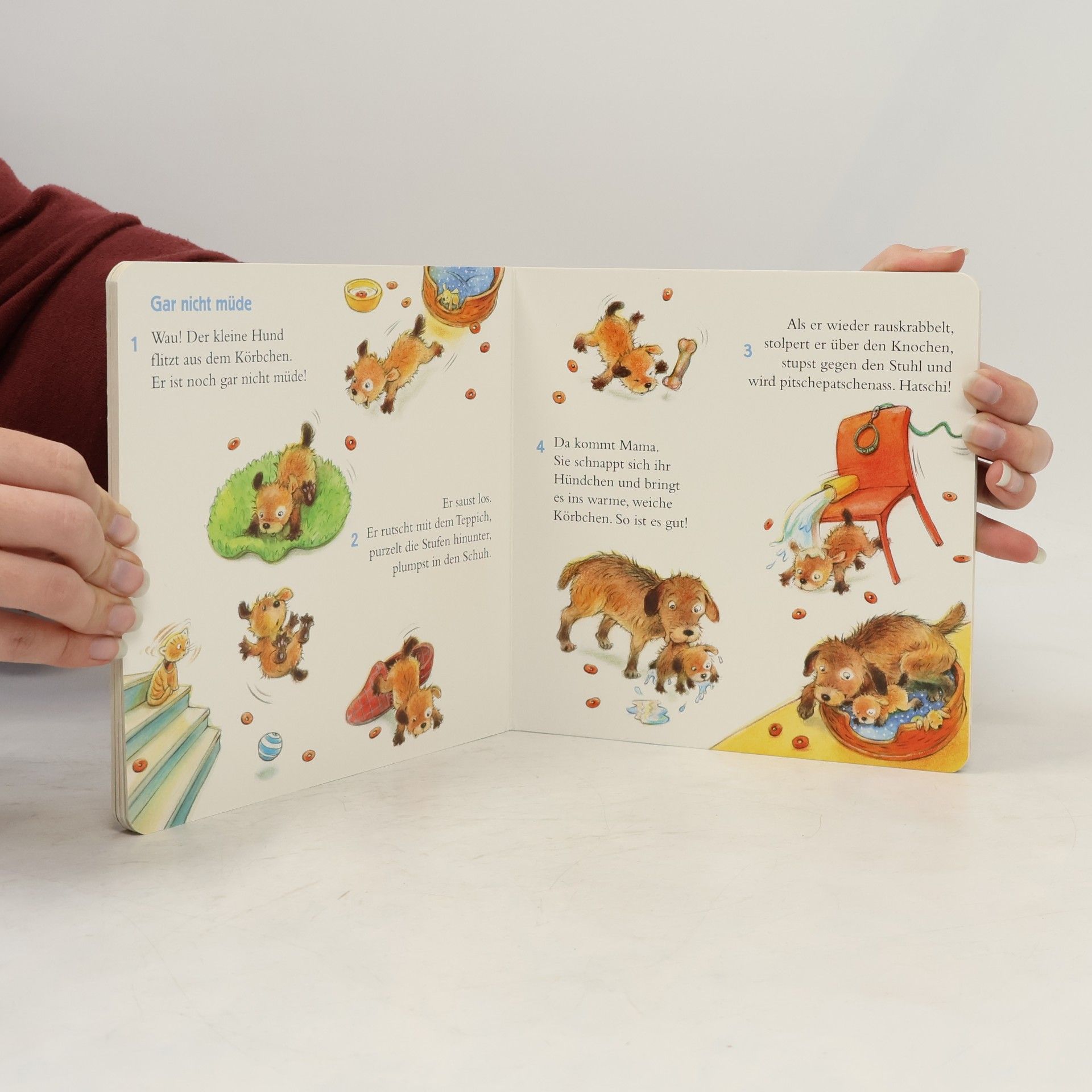 Regine Altegoer Mein erstes Schlummerbuch
