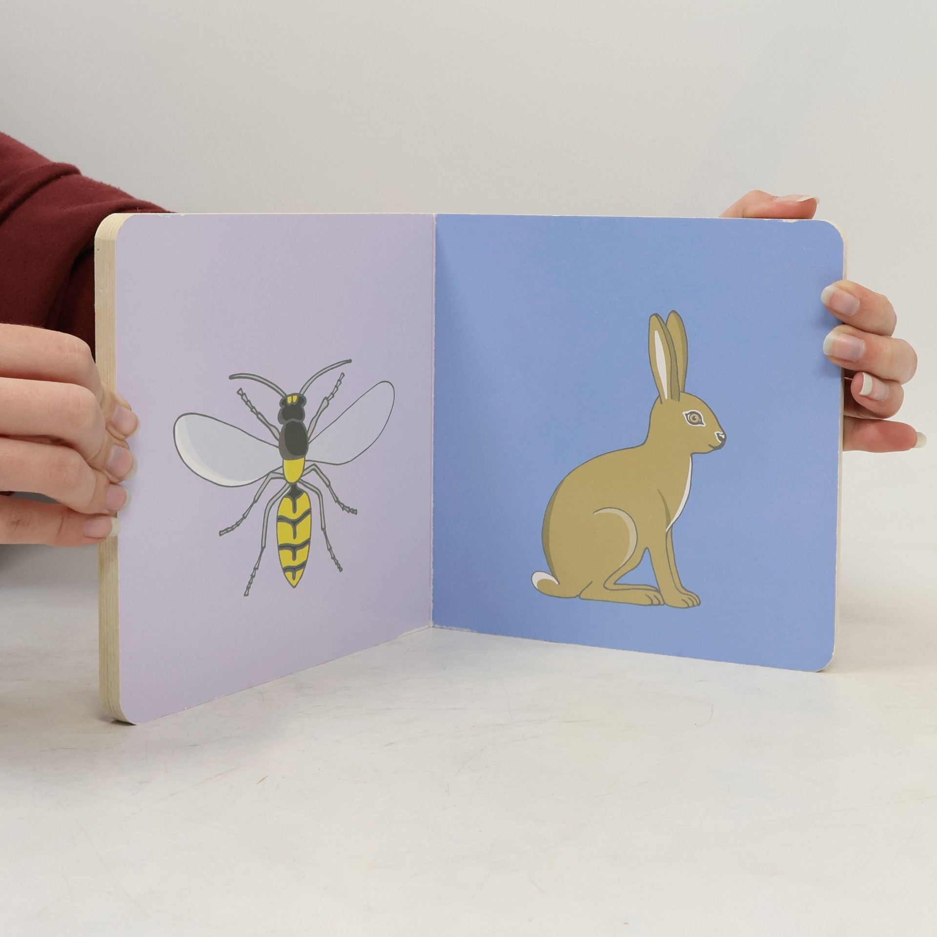 Vicky Bo Vicky Bo's erstes Baby-Bilderbuch ab 6 Monaten Tiere