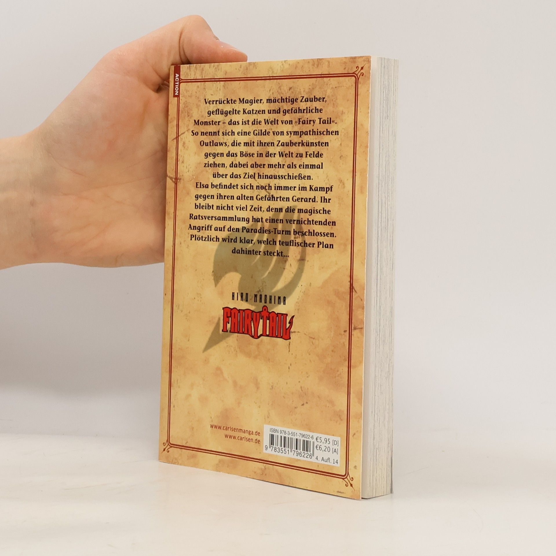 Hiro M. Fairy Tail Volume 12