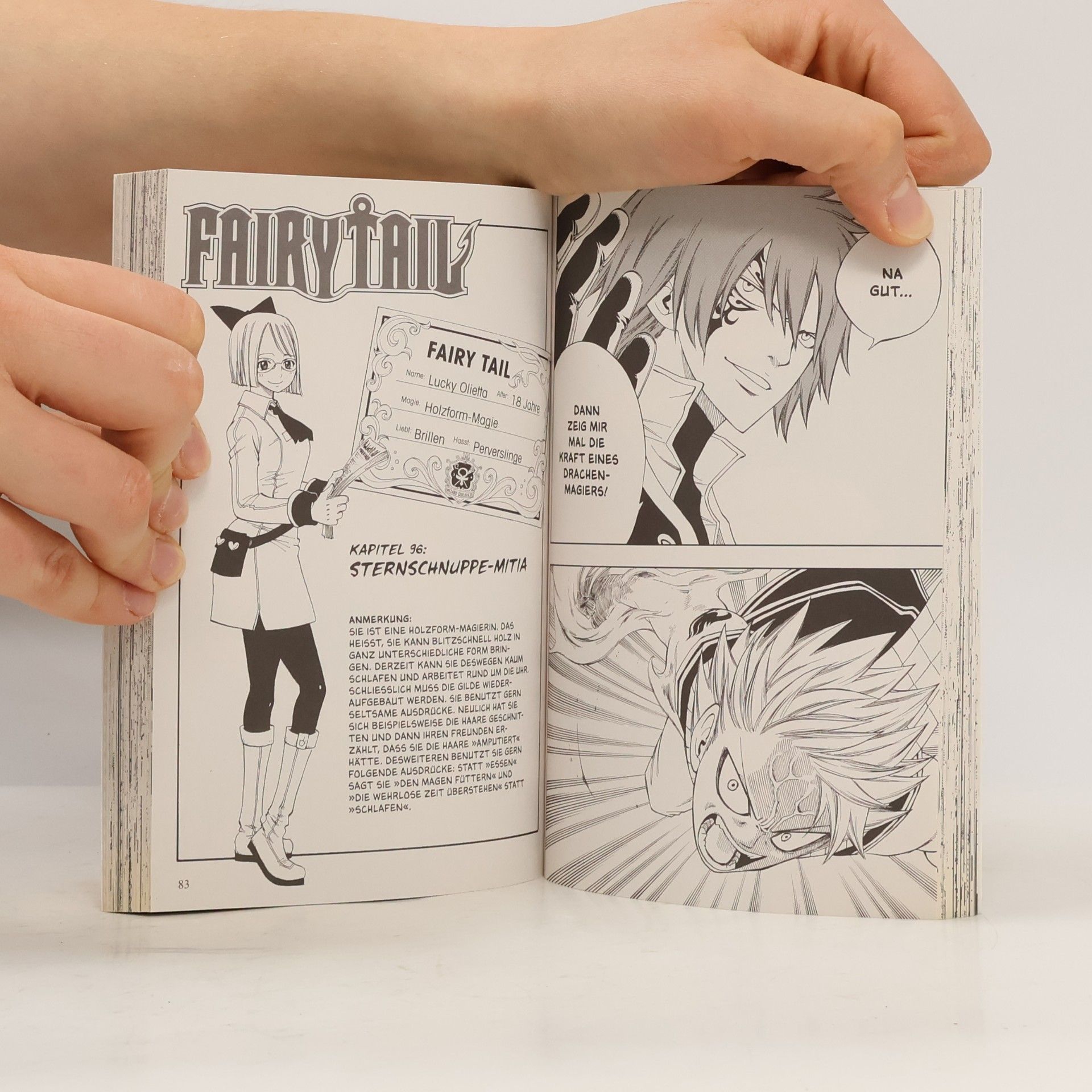 Hiro M. Fairy Tail Volume 12