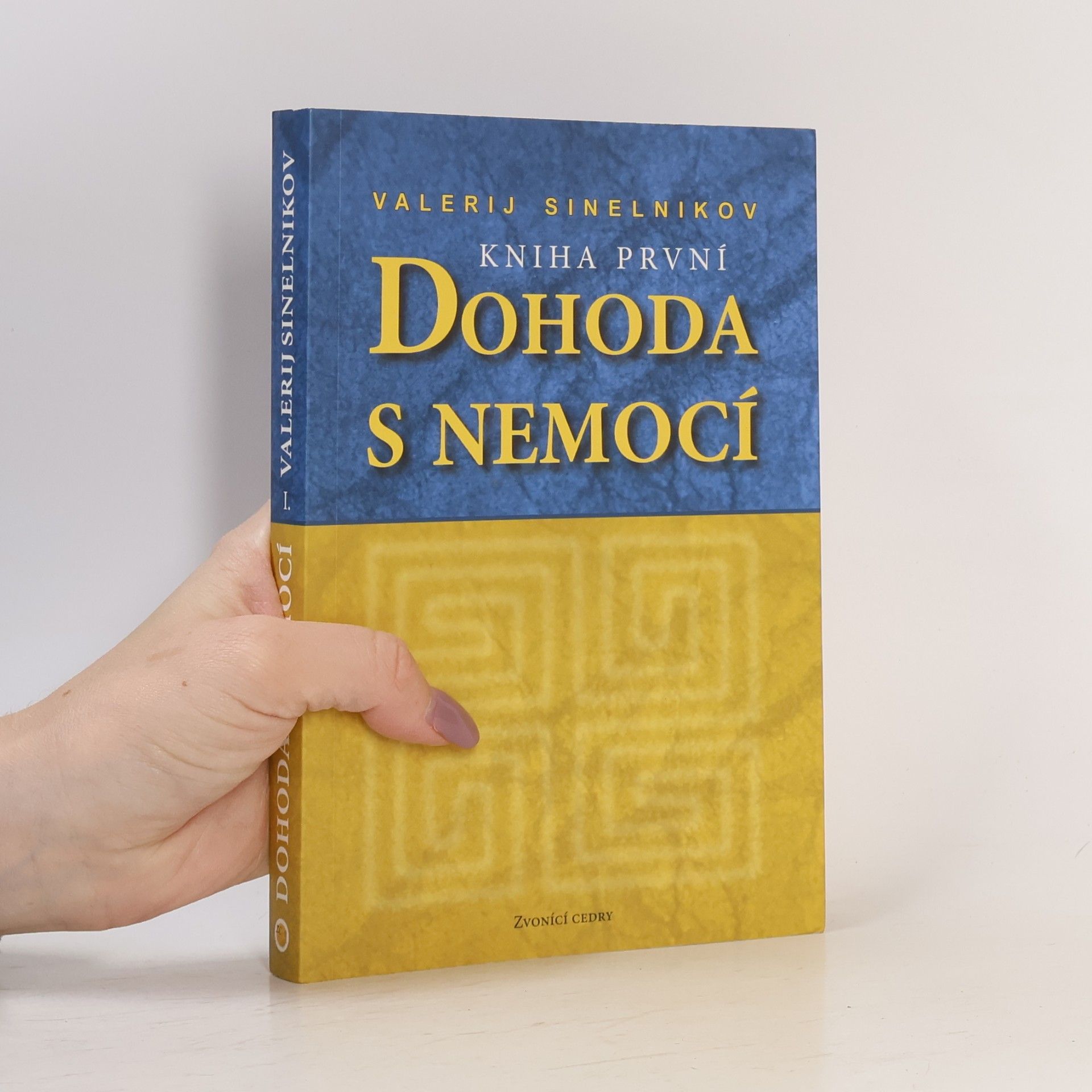 Valerij Vladimirovič Sinel‘nikov Dohoda s nemocí. Kniha první
