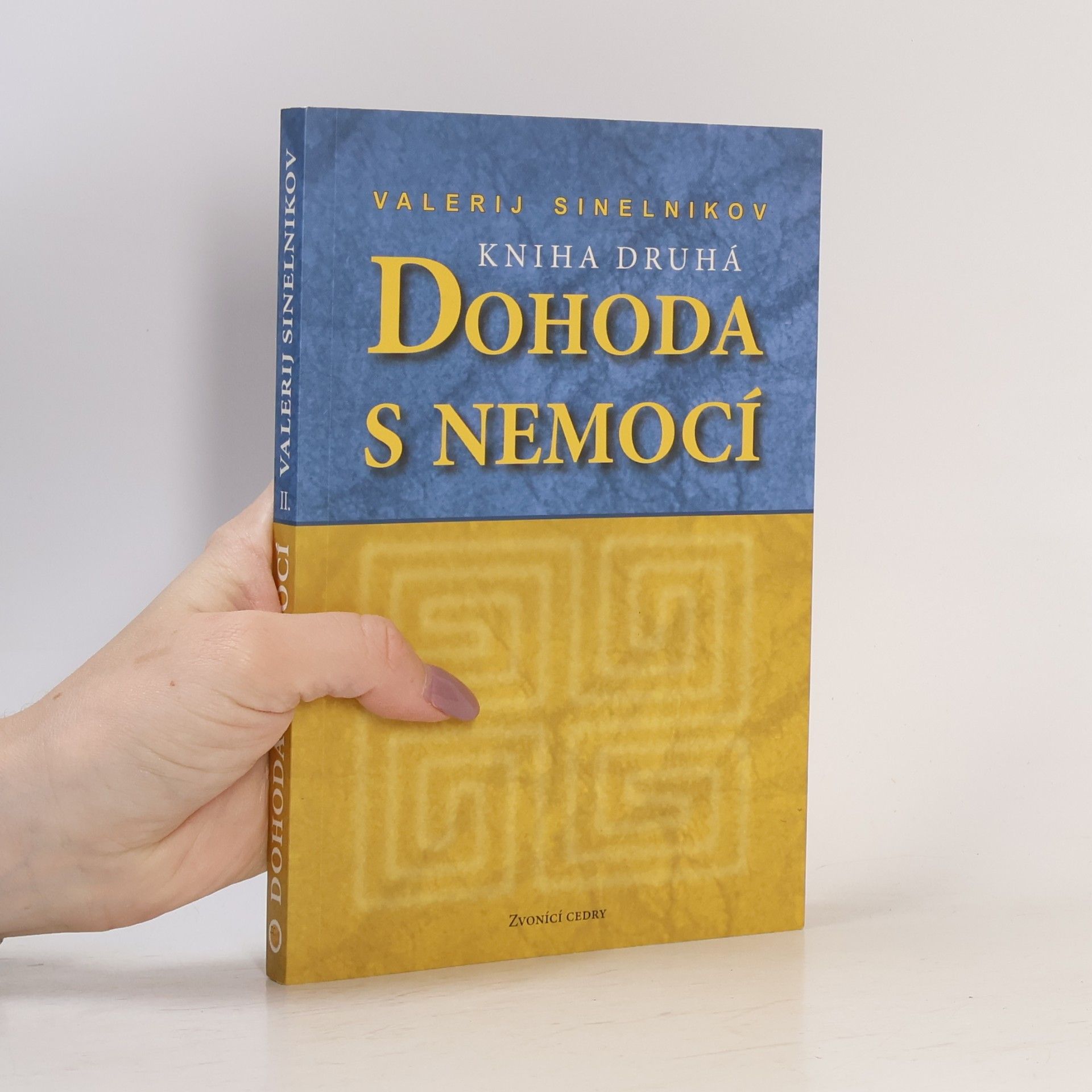 Valerij Vladimirovič Sinel‘nikov Dohoda s nemocí. Kniha druhá