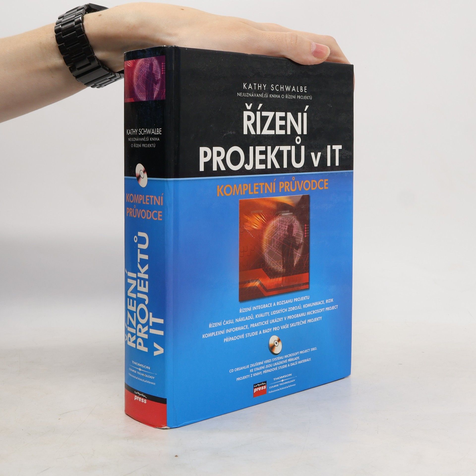 Řízení projektů v IT