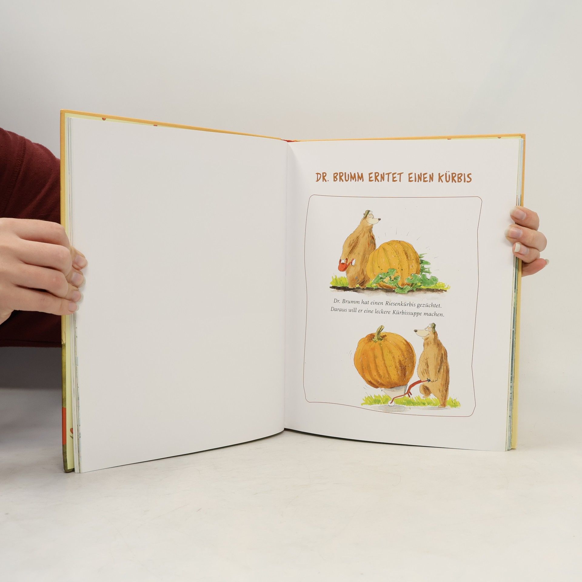 Daniel Napp Das dicke Buch von Dr. Brumm
