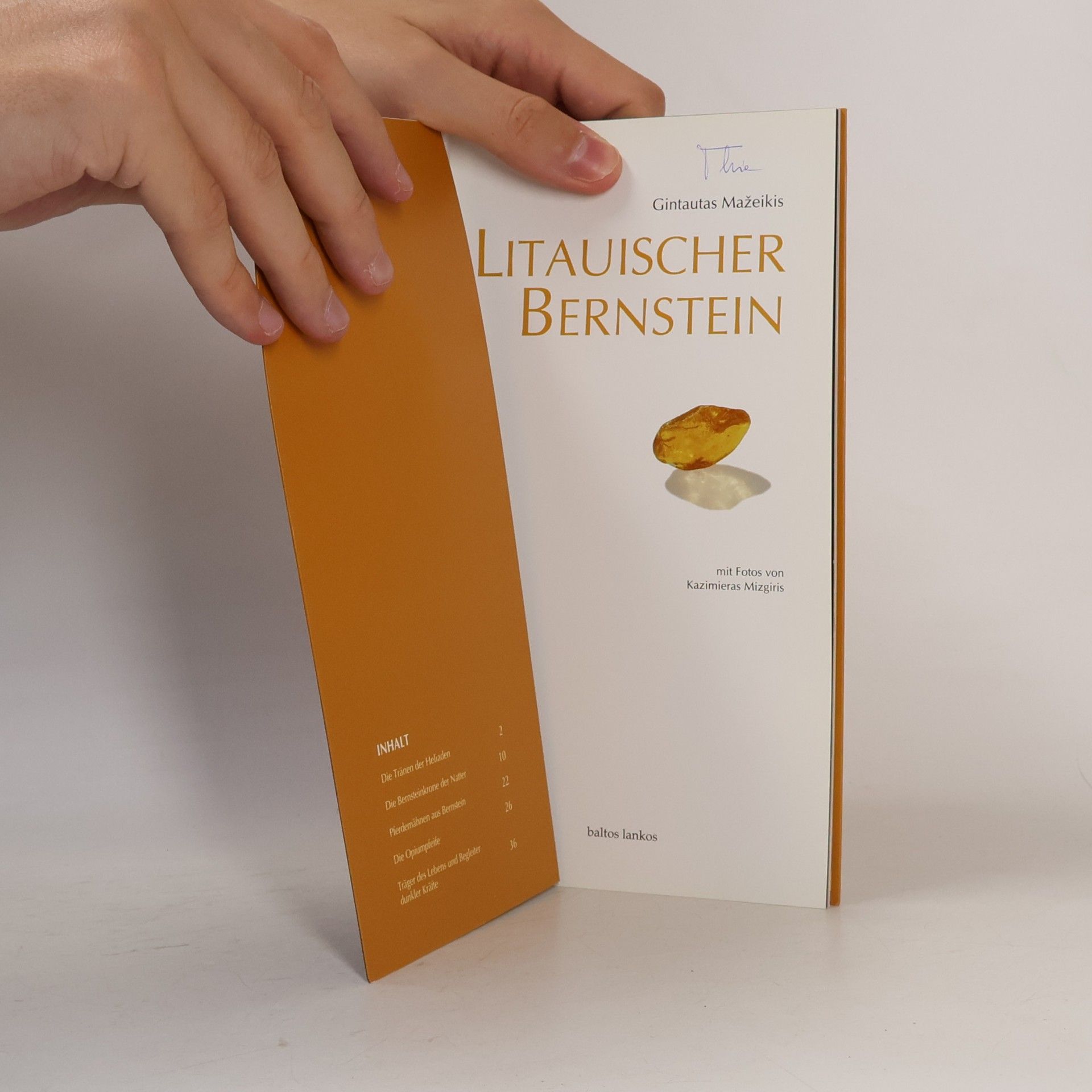Gintautas Mažeikis Litauischer Bernstein