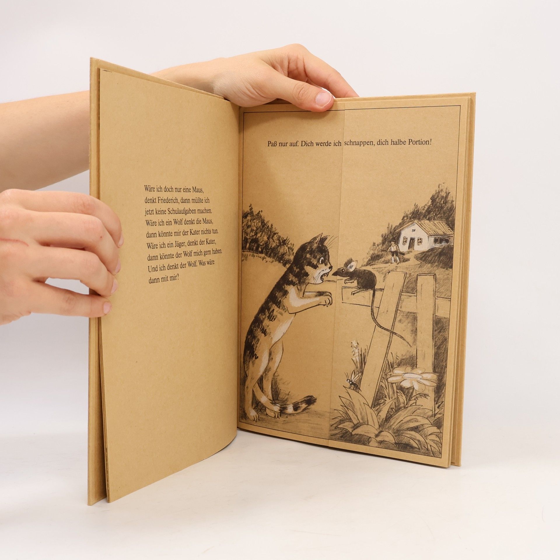 Wilfried Blecher Und wunderbar verwandeln sich die Lena und der Friederich. Ein Verwandel-Bilderbuch