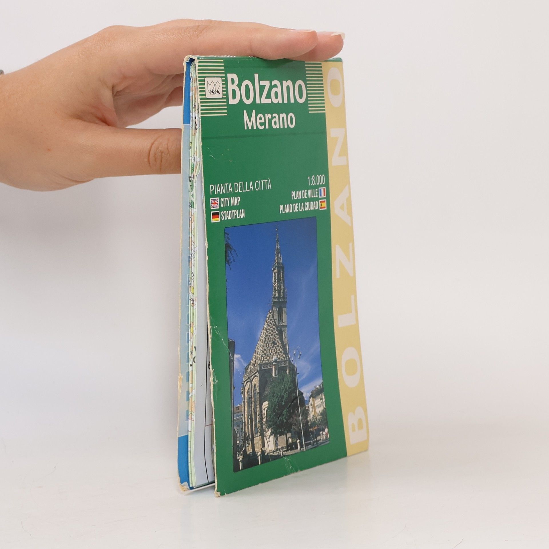 Litografia Artistica Cartografica Town Plan Bolzano