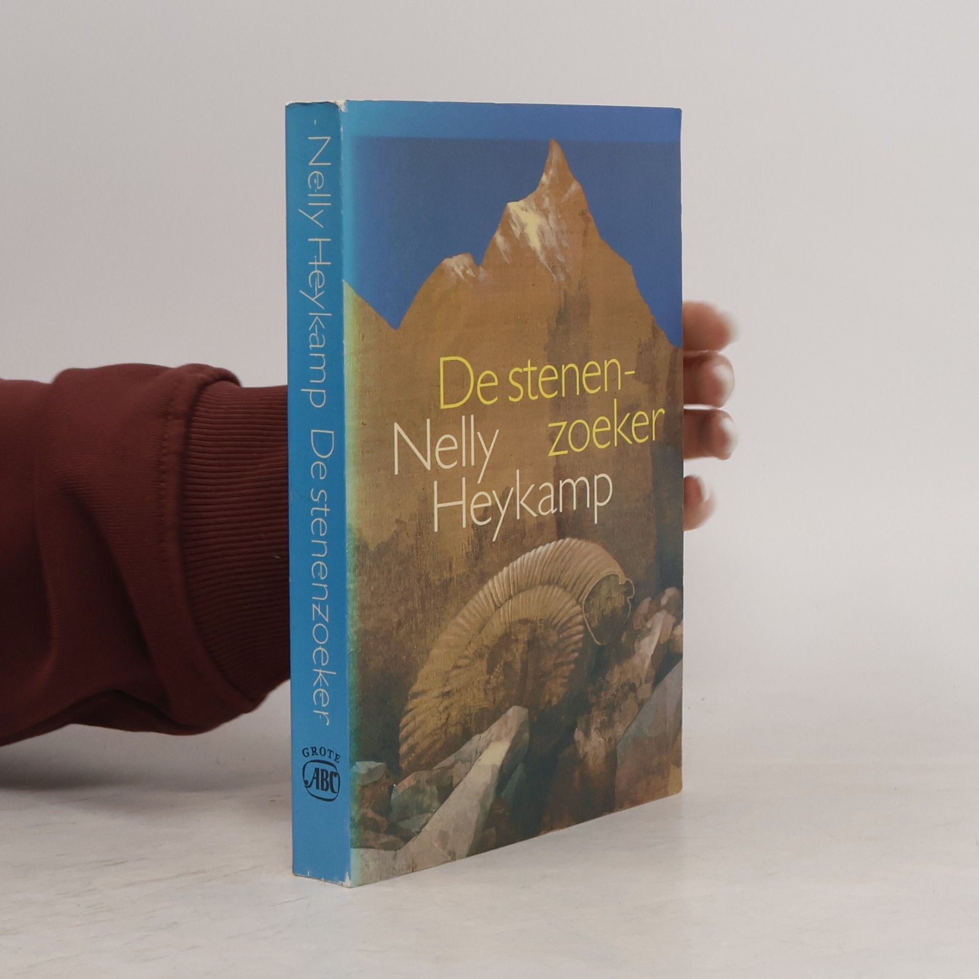 Nelly Heykamp De stenenzoeker