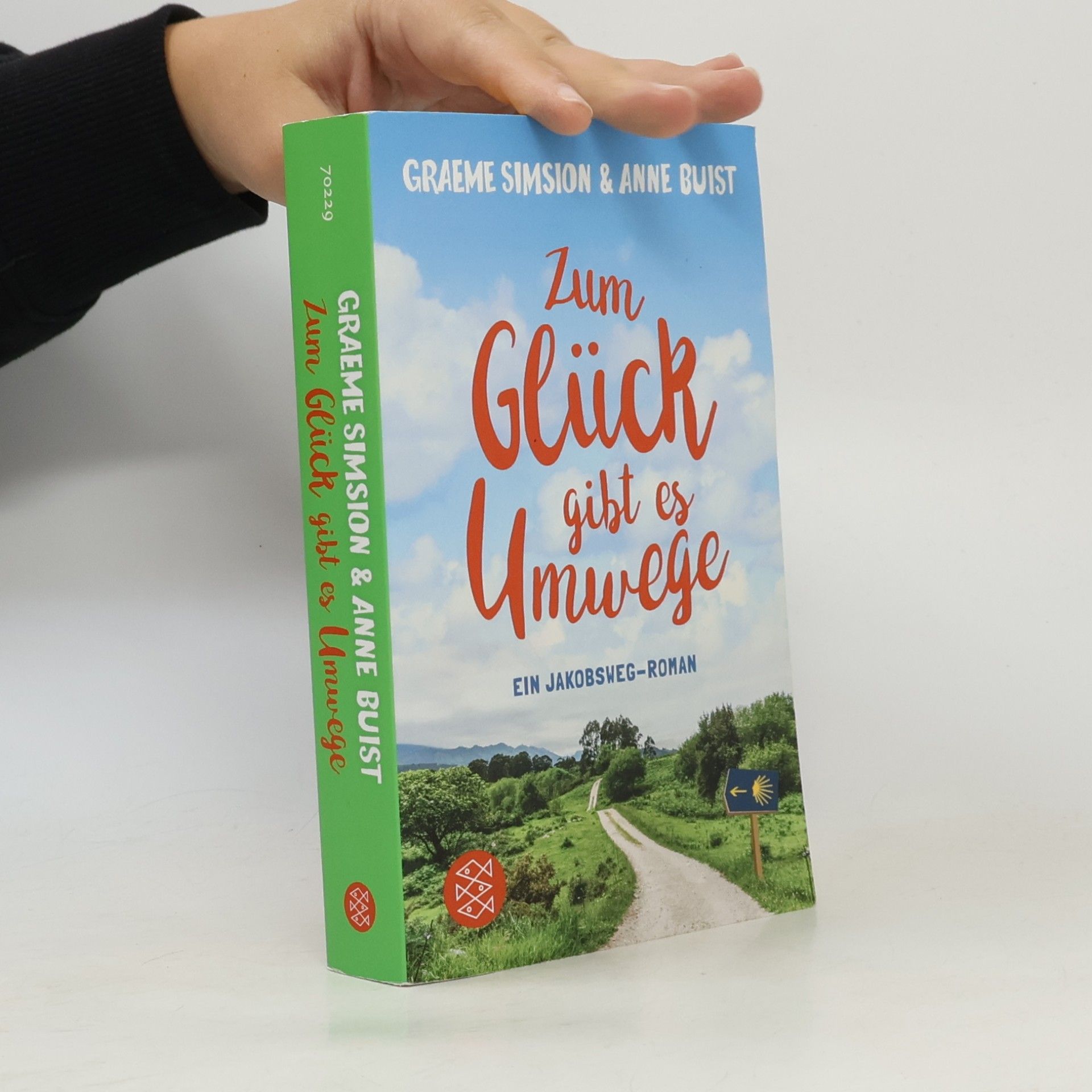Graeme C. Simsion Zum Glück gibt es Umwege