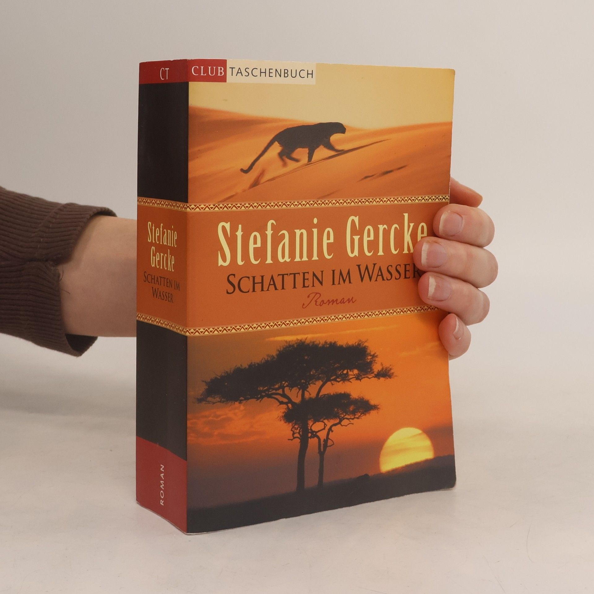 Stefanie Gercke Schatten im Wasser